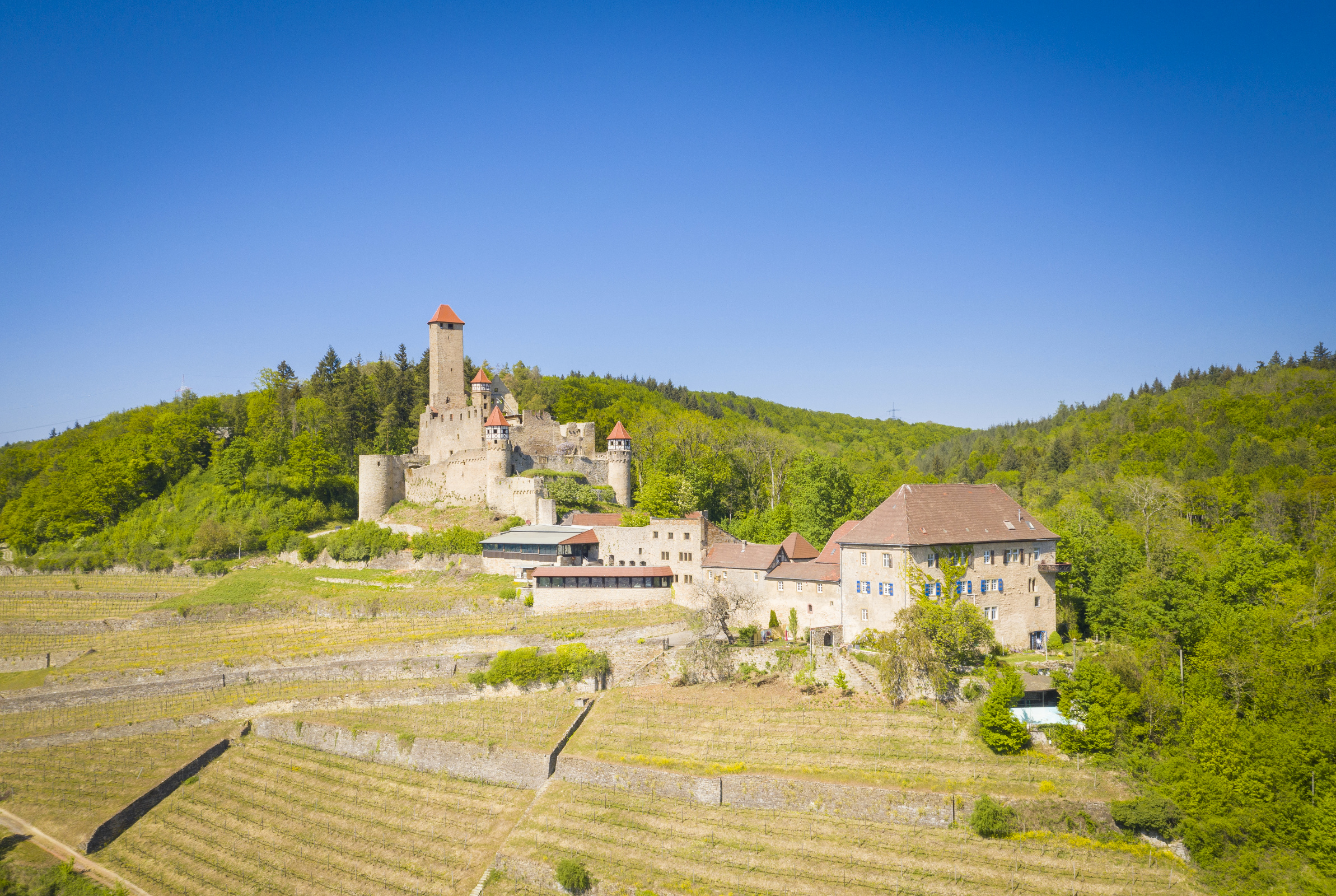 Burg 24