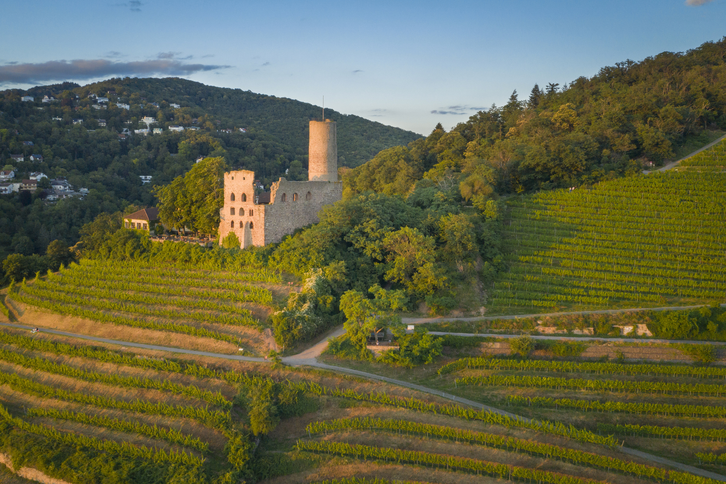 Burg 36