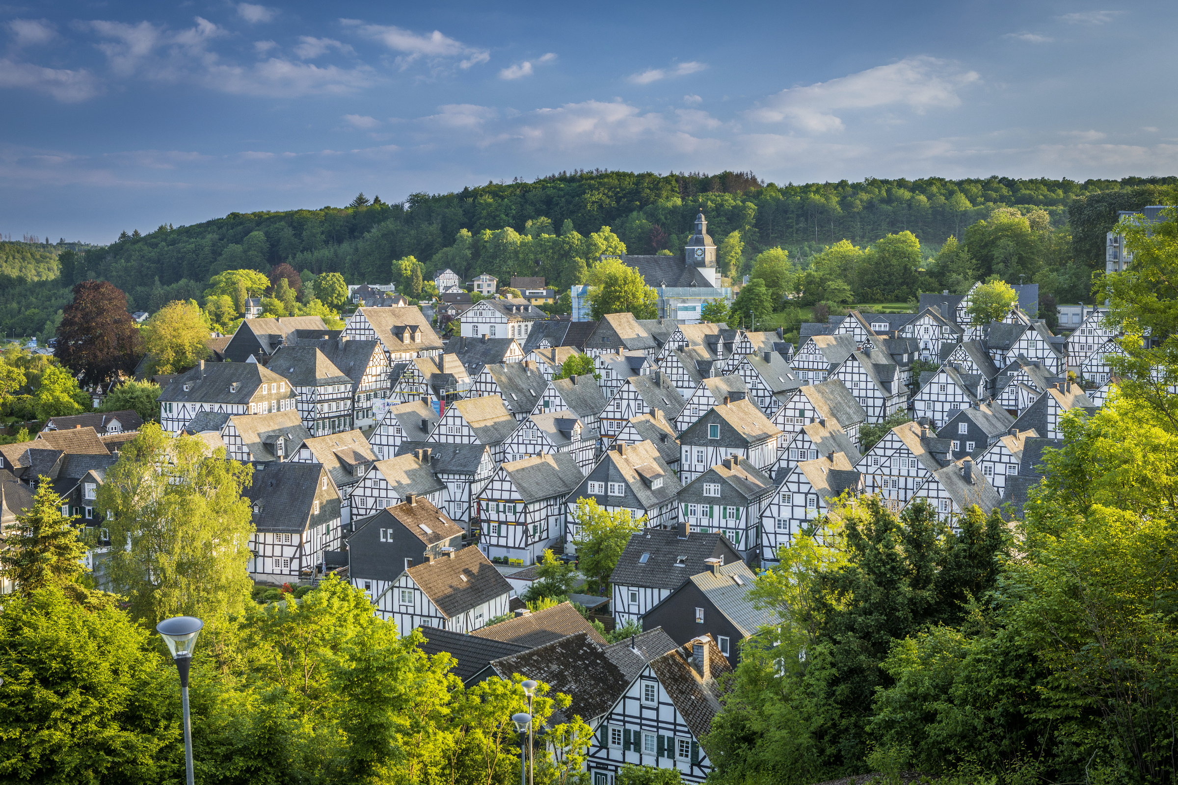 Freudenberg 2