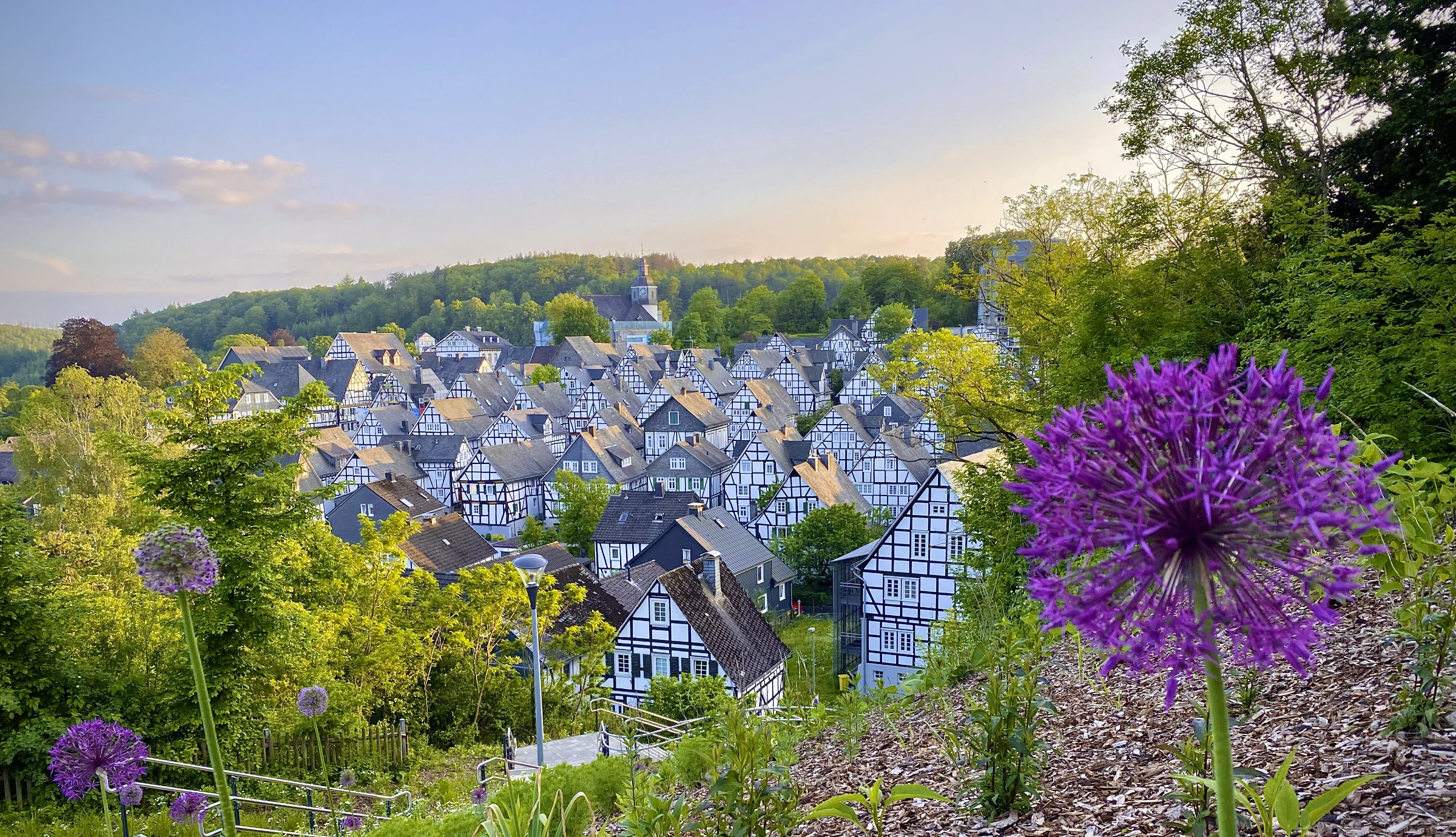 Freudenberg 4