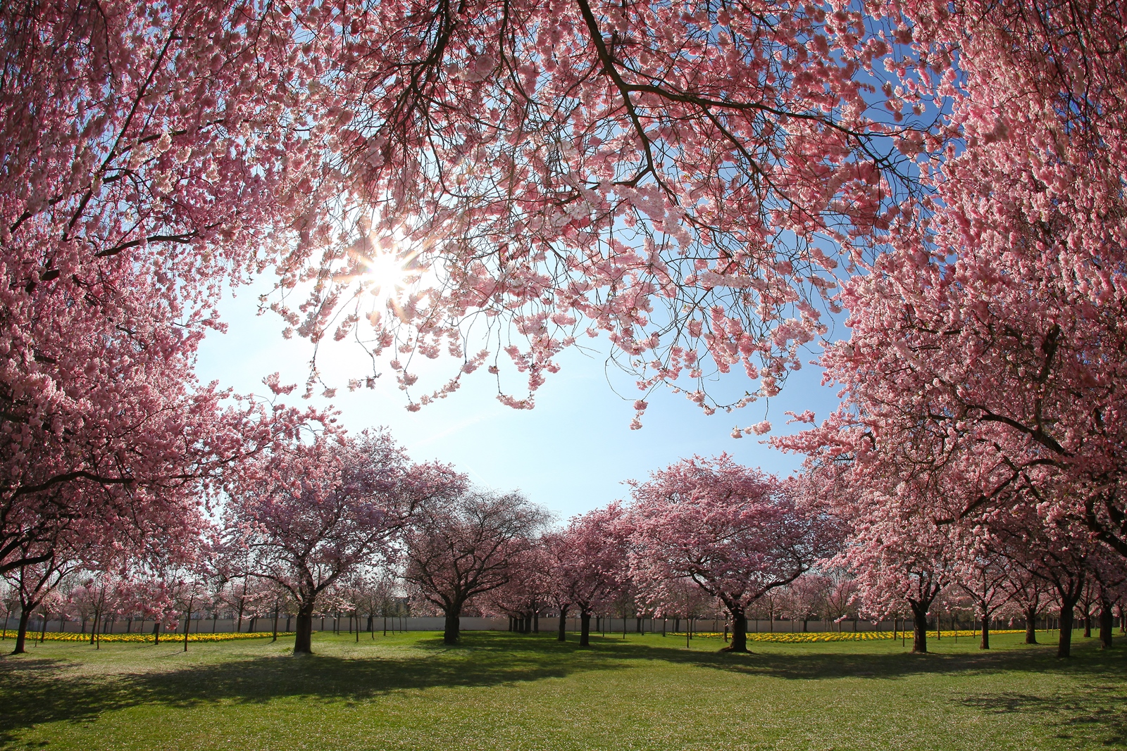 Frühling 1