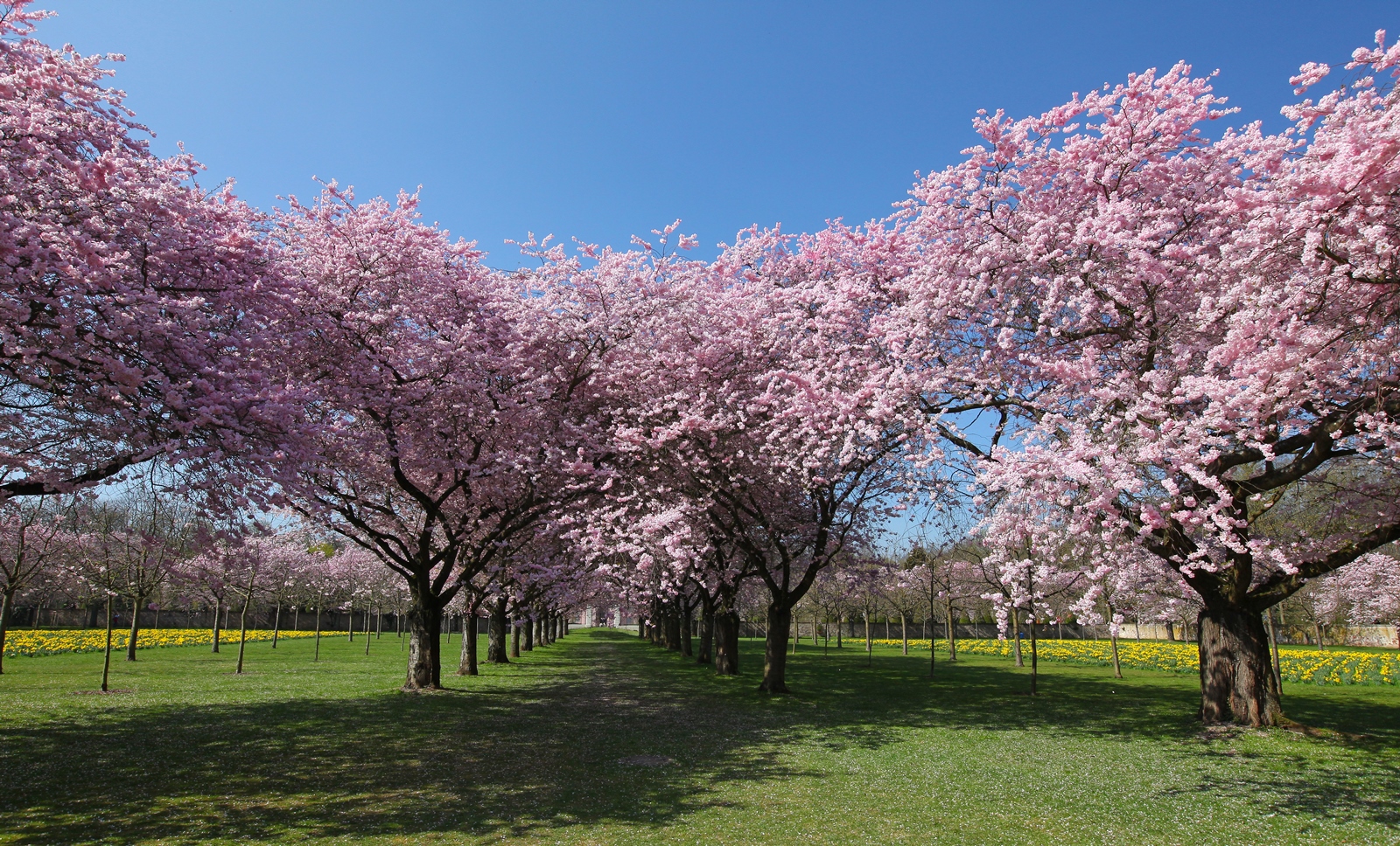 Frühling 2