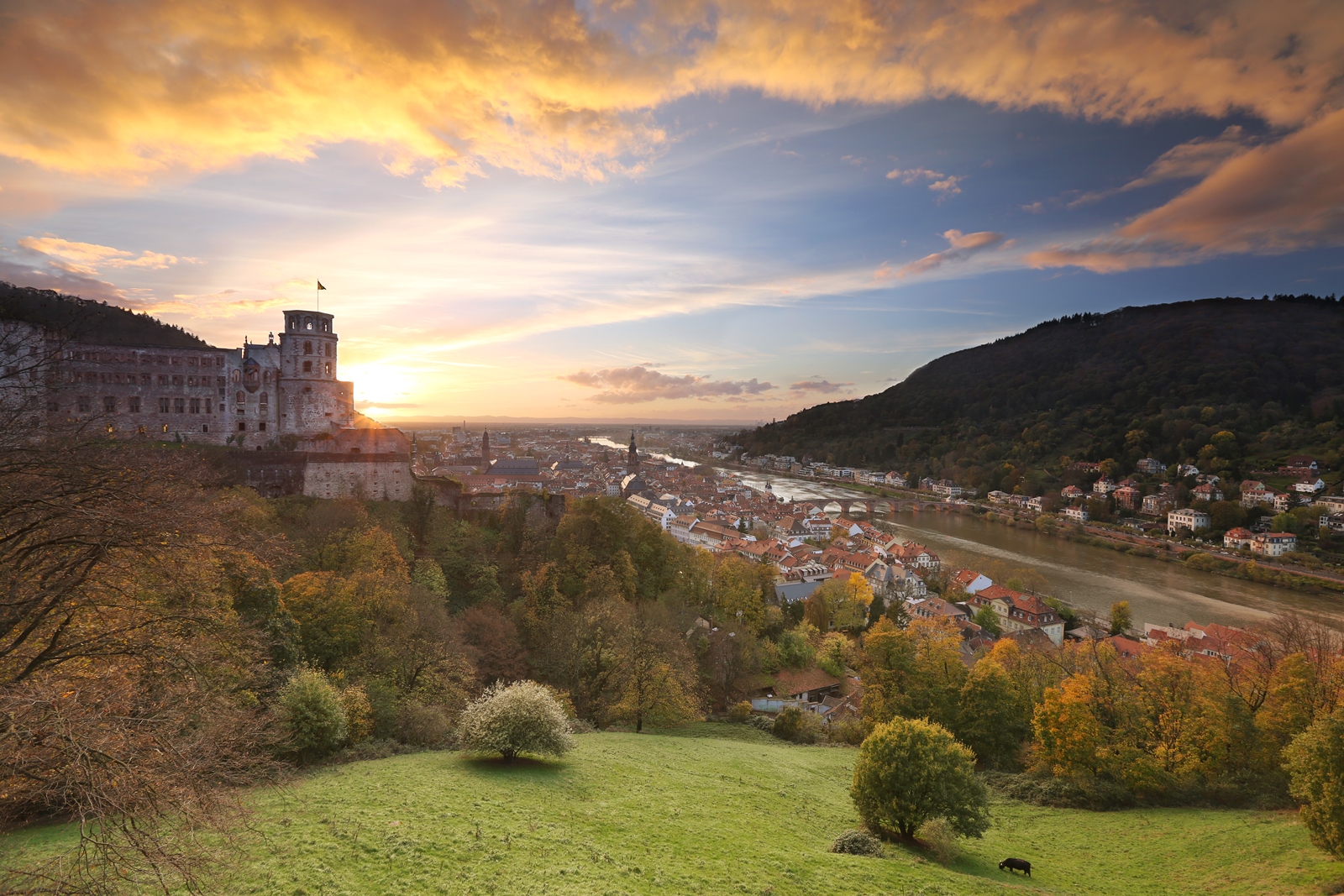 Heidelberg 06