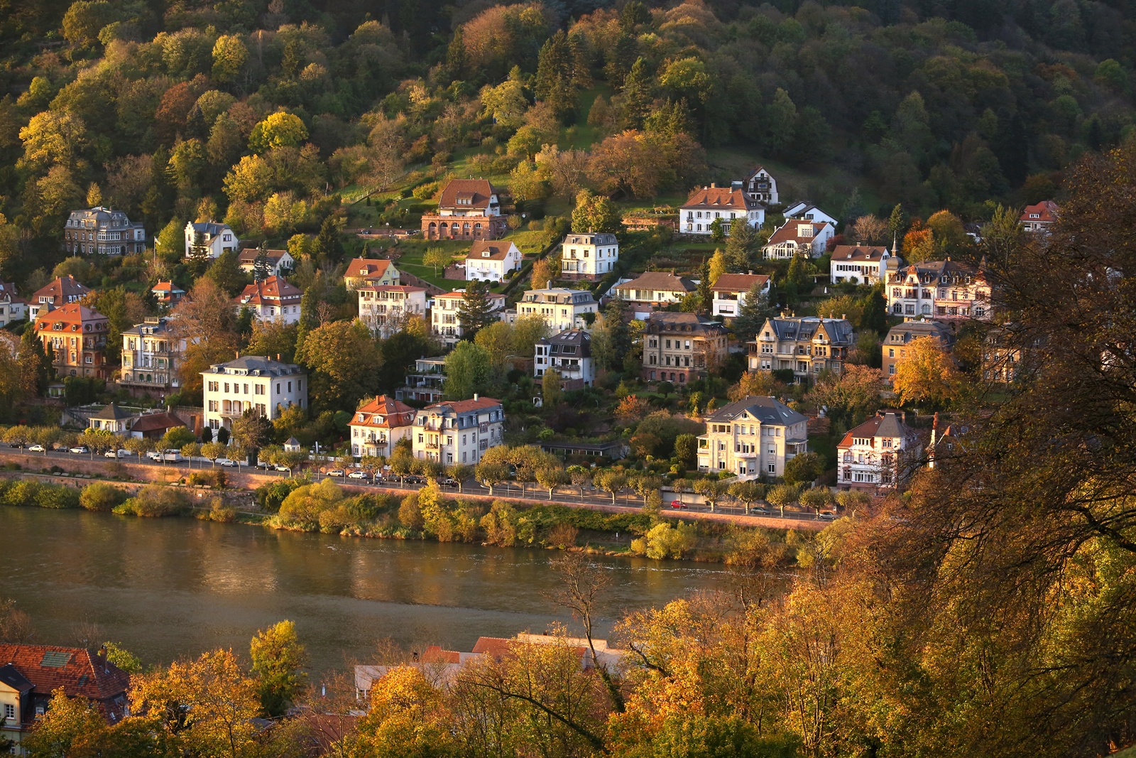 Heidelberg 07