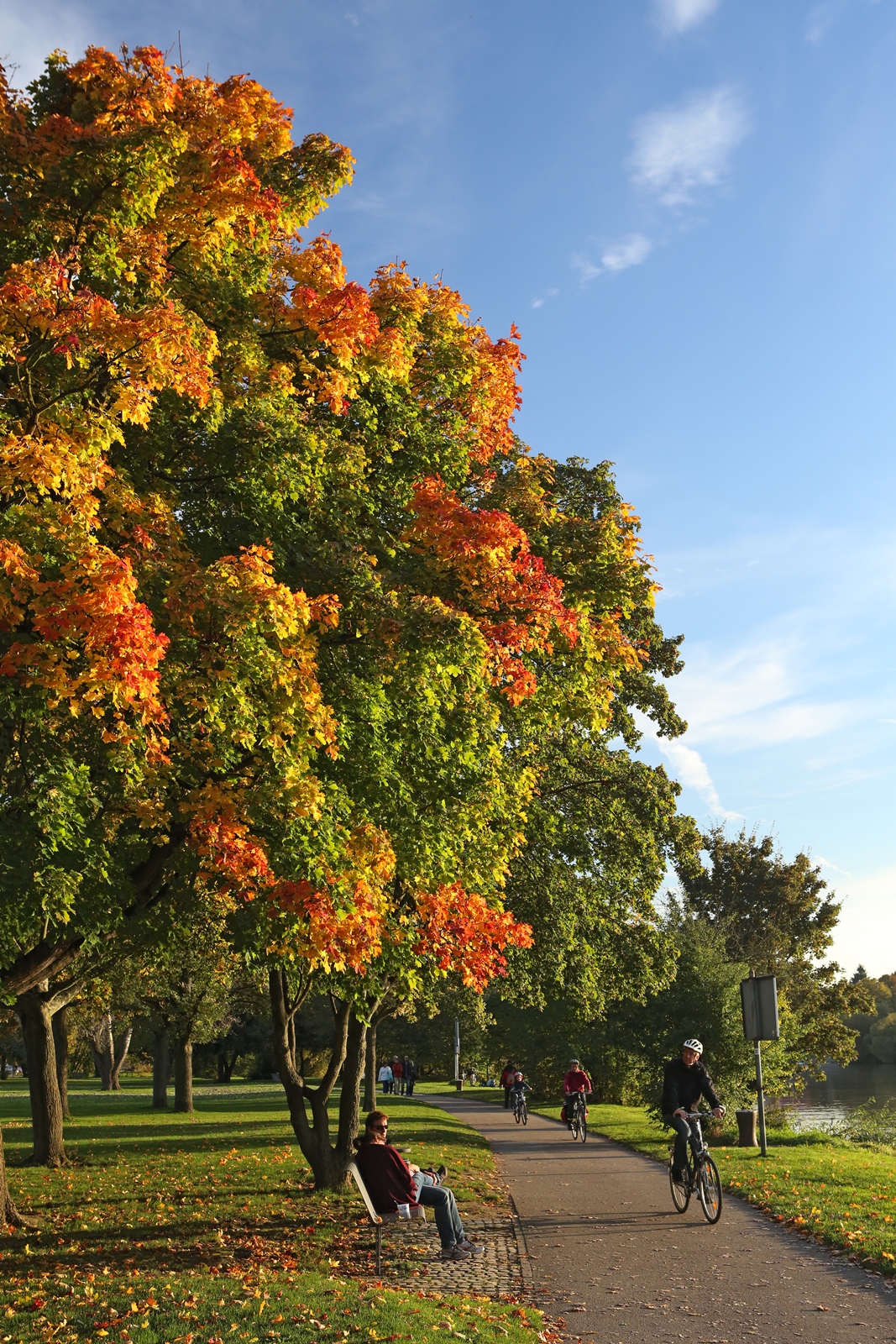 Herbst 01