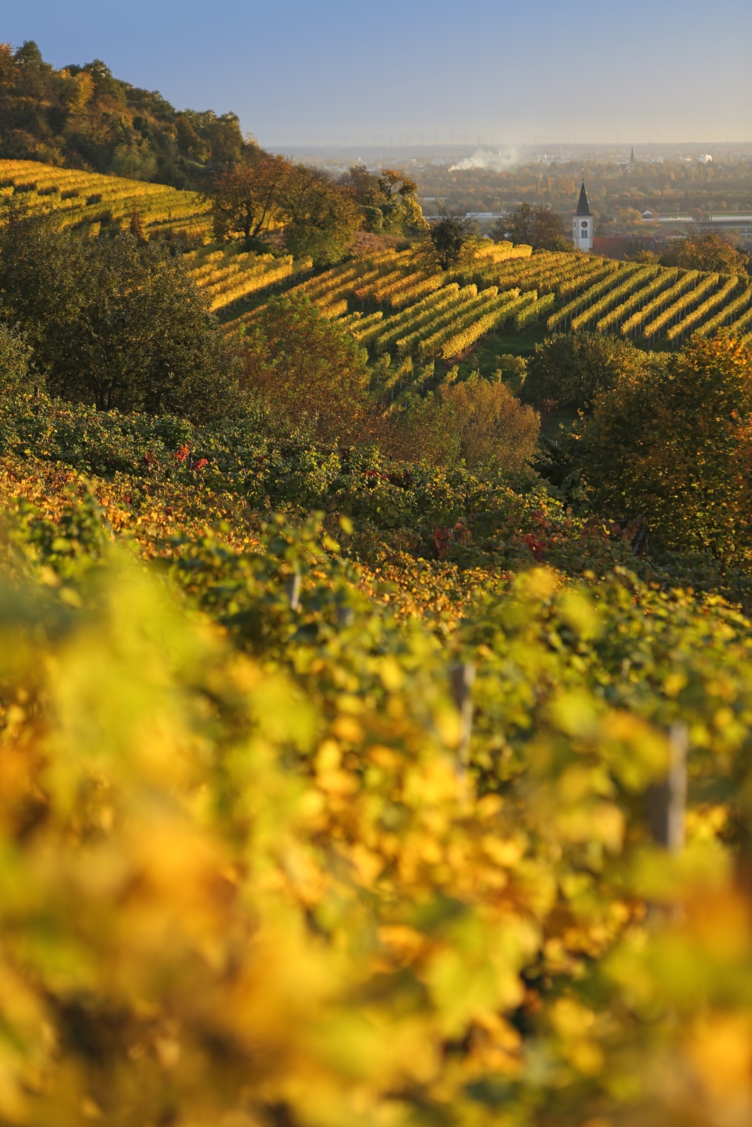 Herbst 02