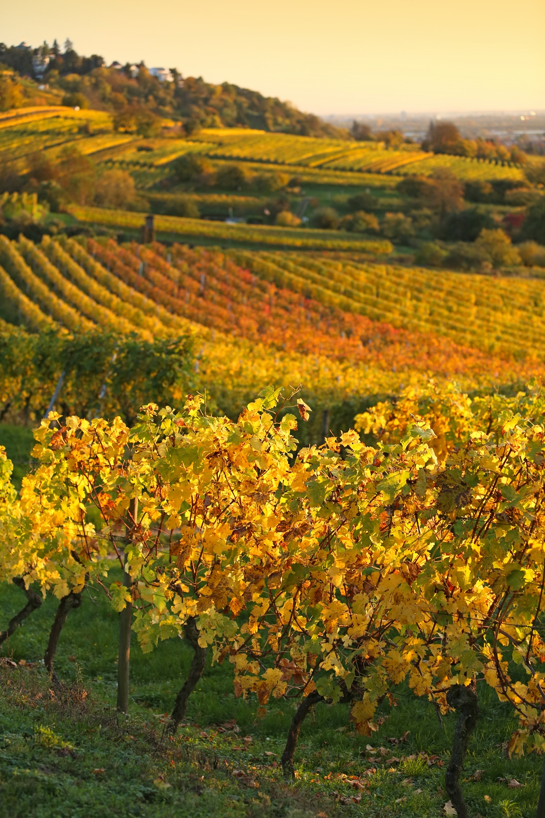 Herbst 03