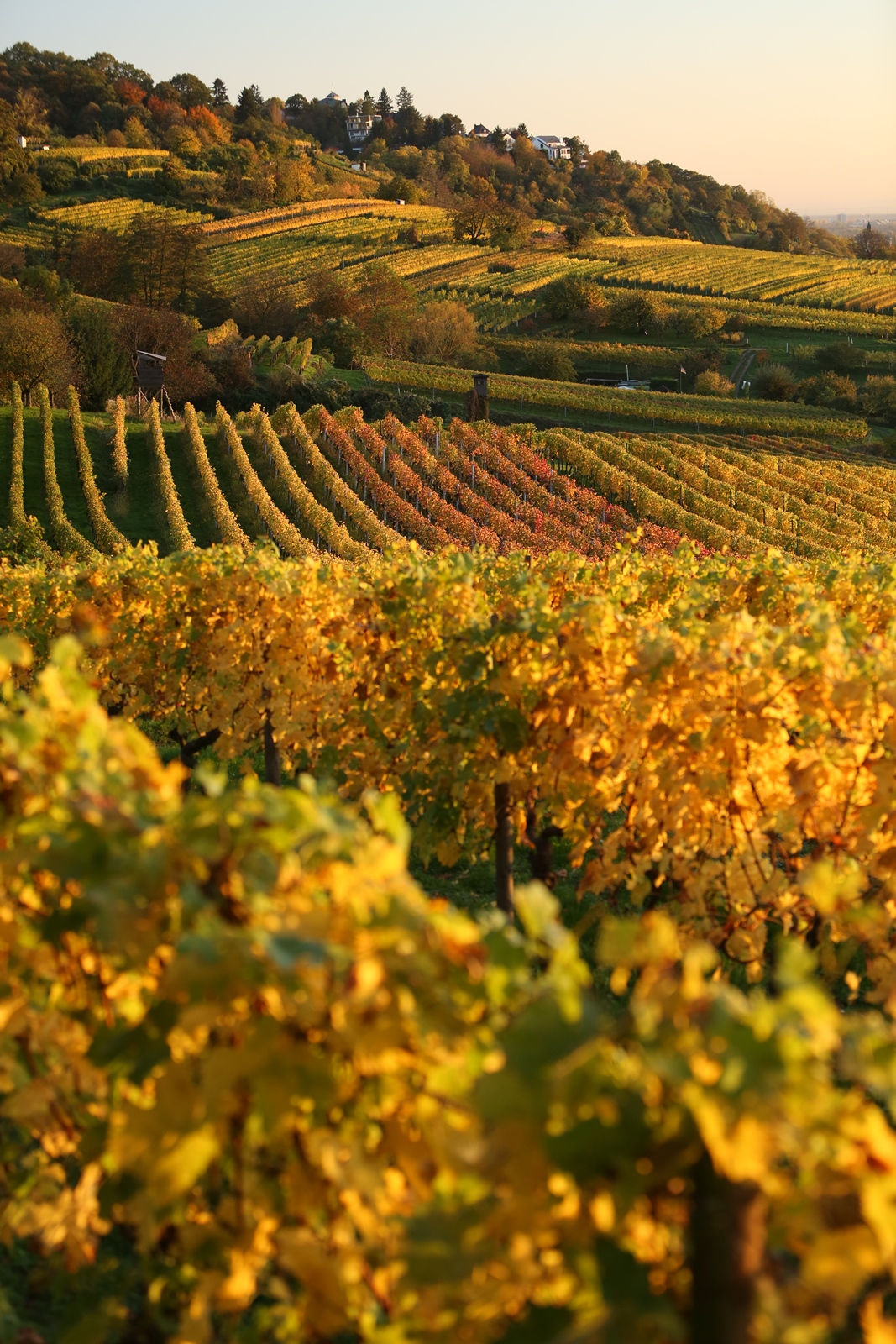 Herbst 04