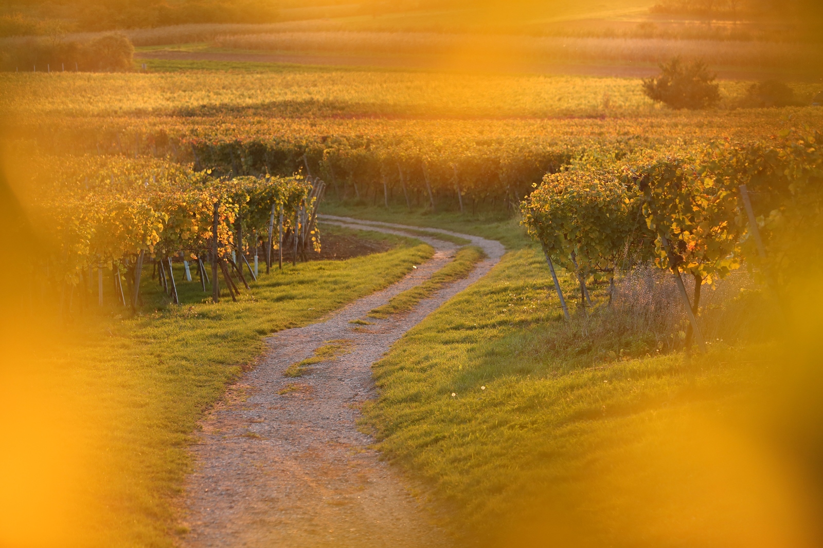 Herbst 07