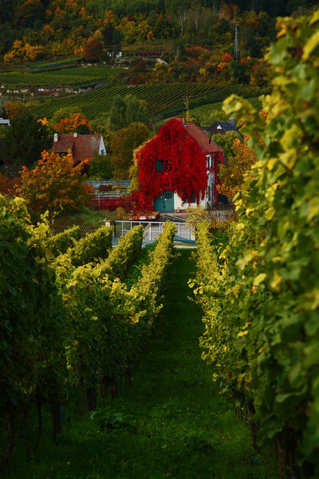 Herbst 09