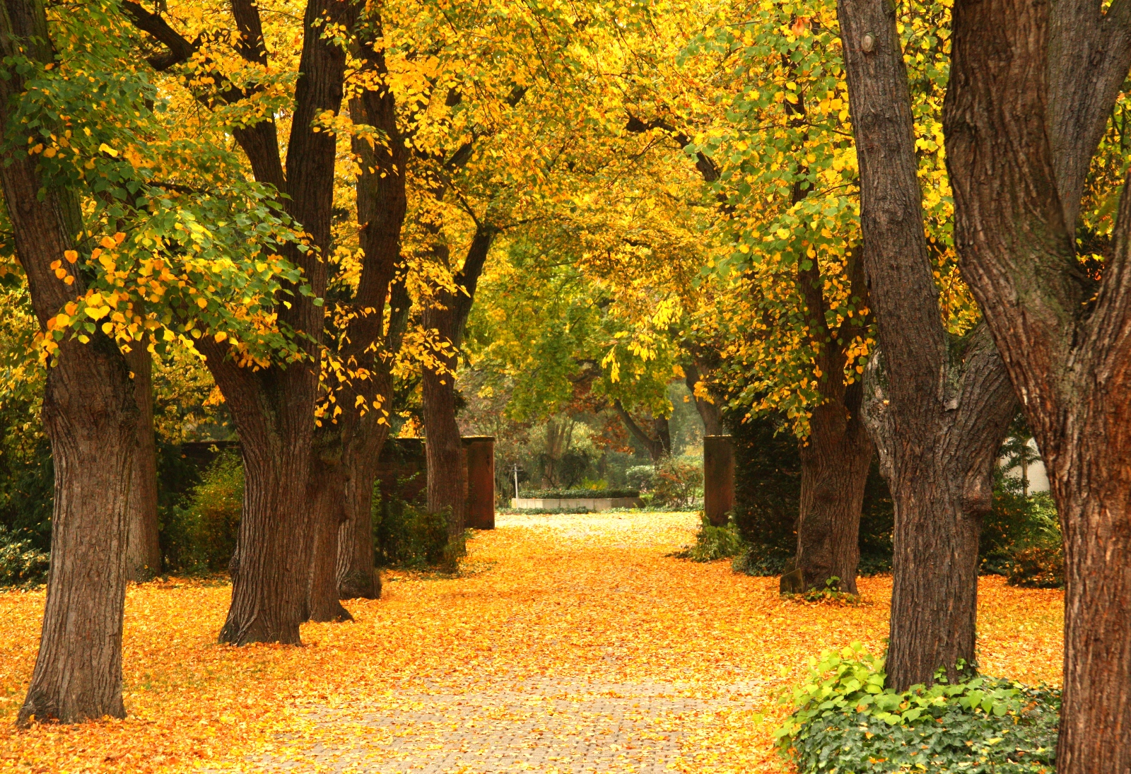 Herbst 10