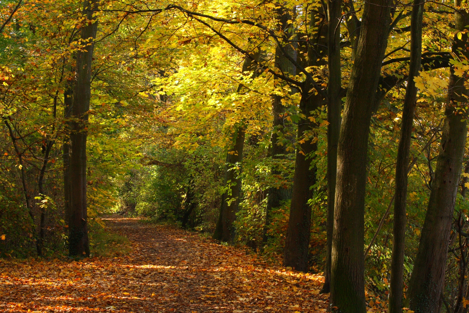 Herbst 11