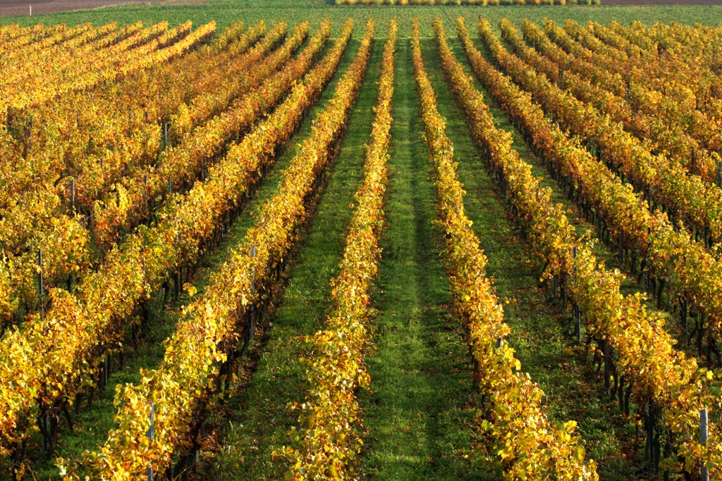 Herbst 13