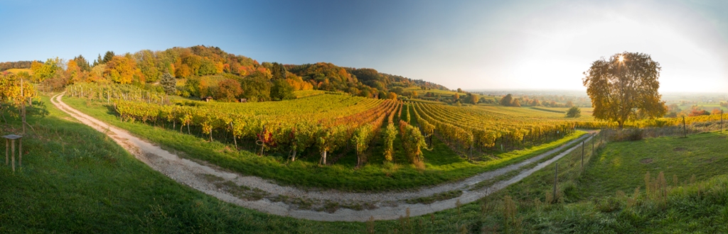 Herbst 14