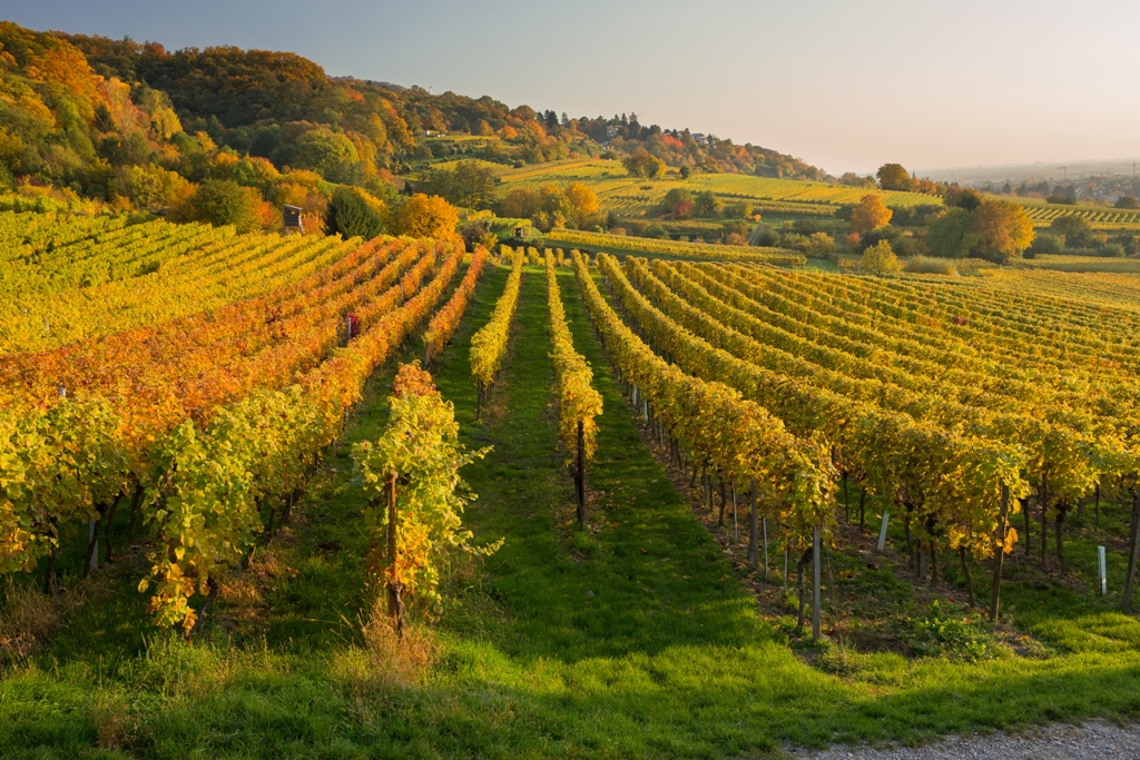 Herbst 15