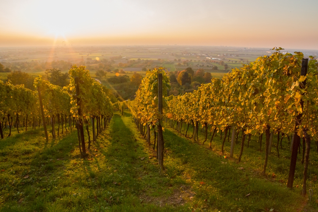 Herbst 18