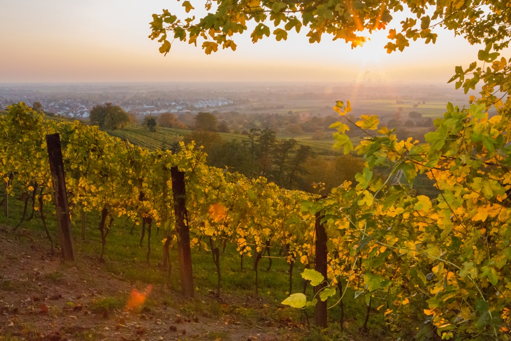 Herbst 19
