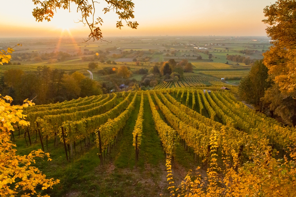 Herbst 20