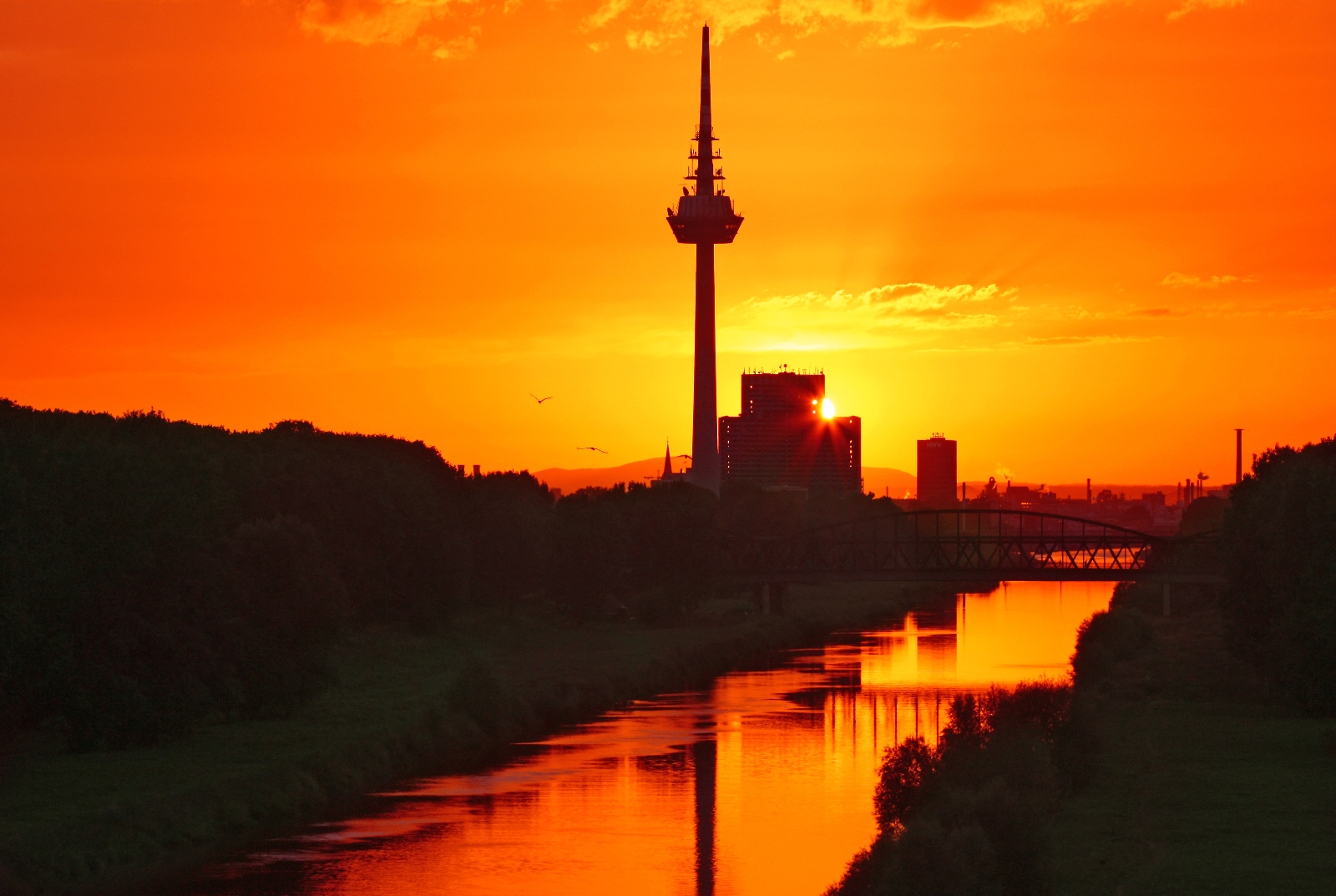 Mannheim 02