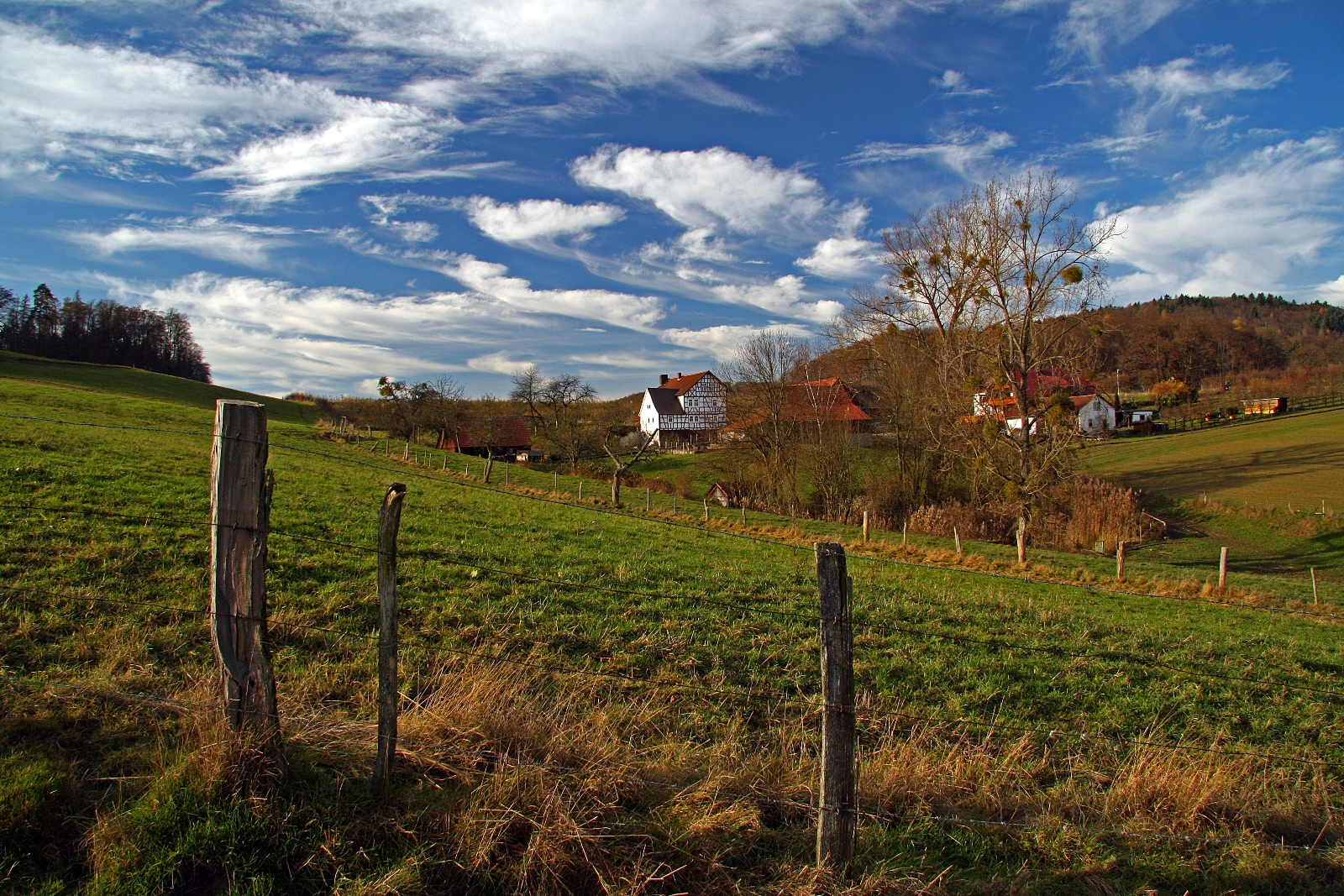 Odenwald 01