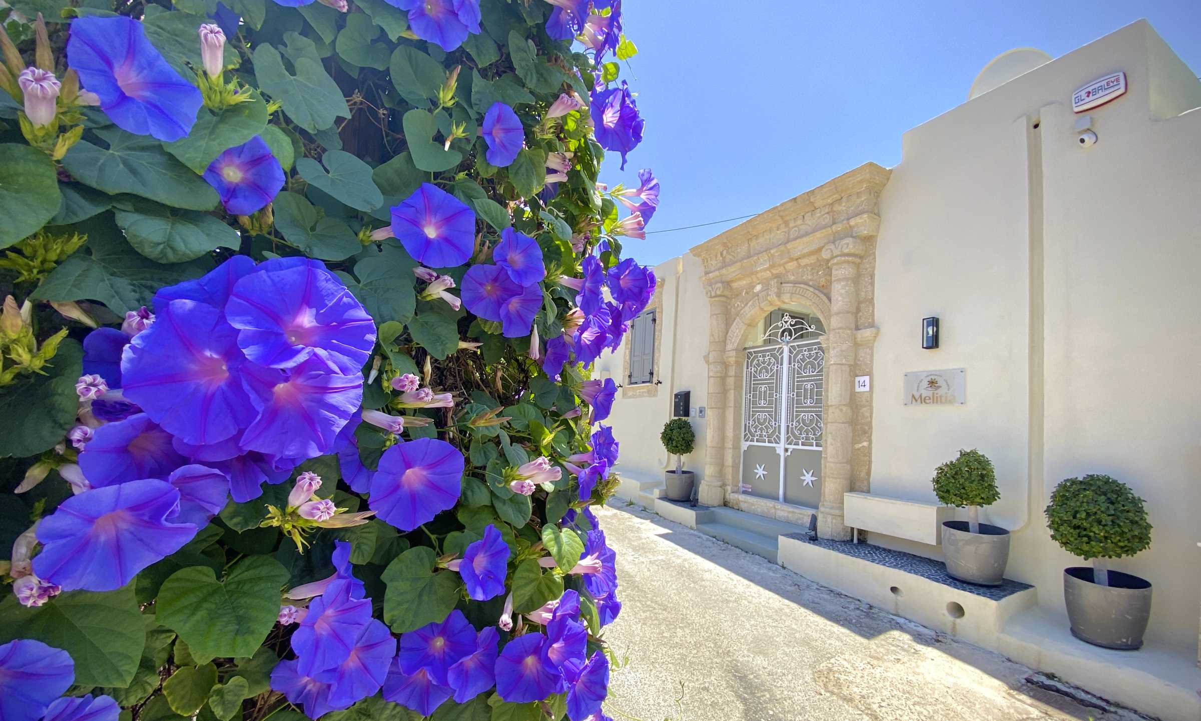 Rhodos 273
