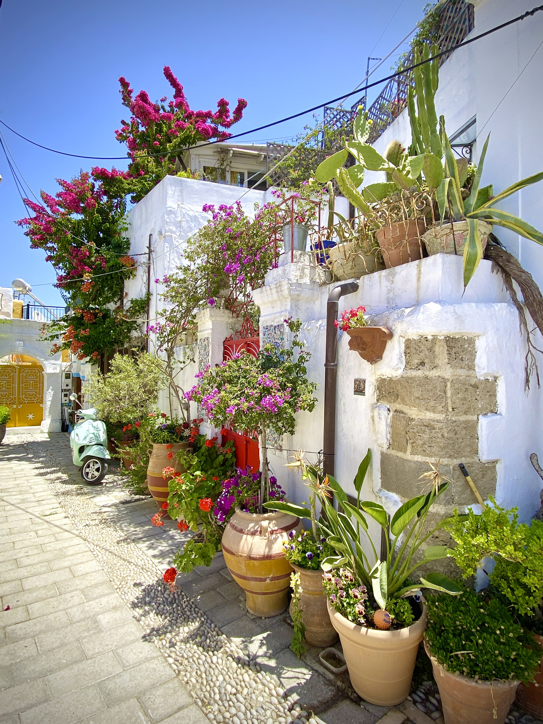 Rhodos 279