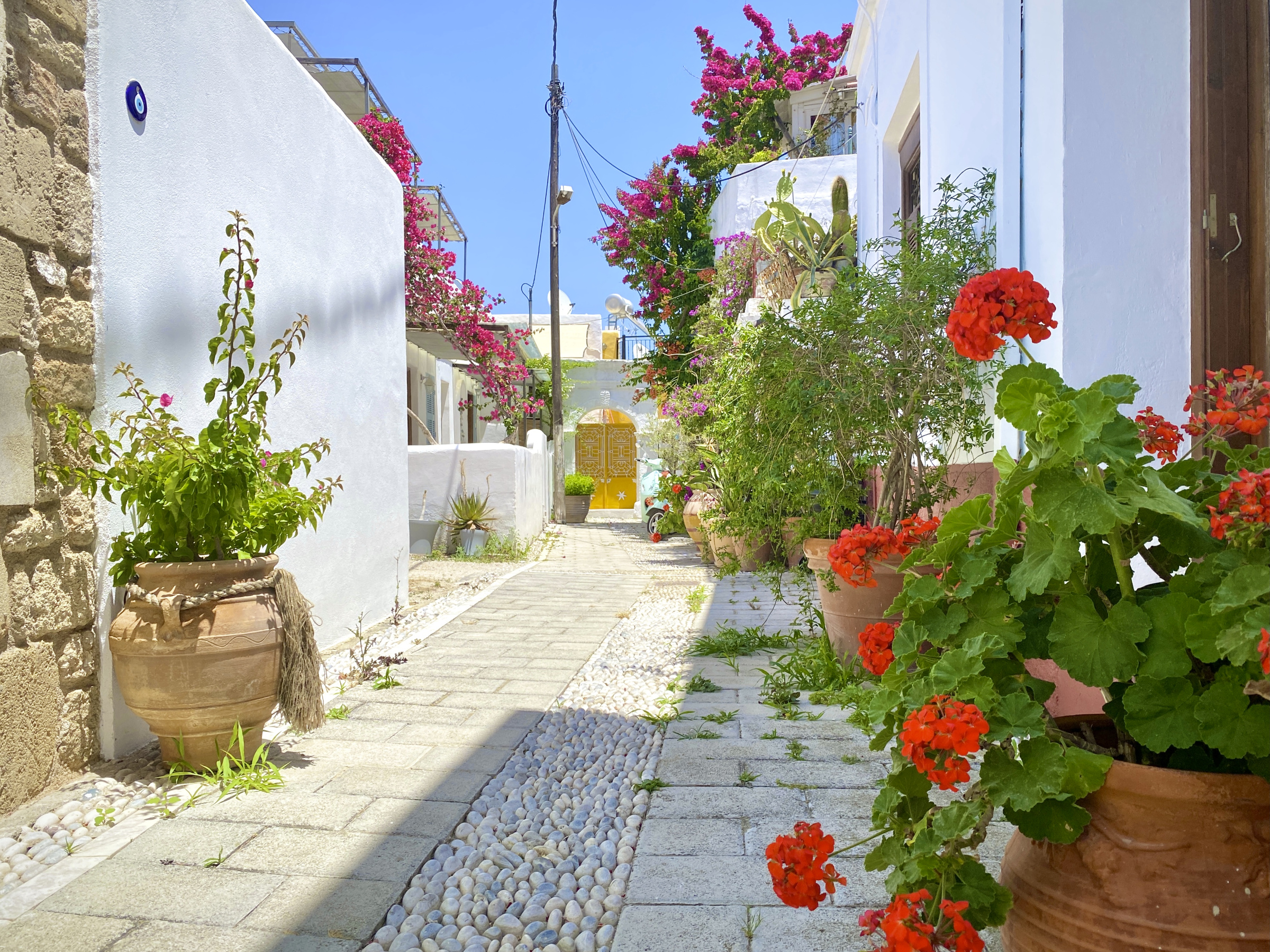 Rhodos 281
