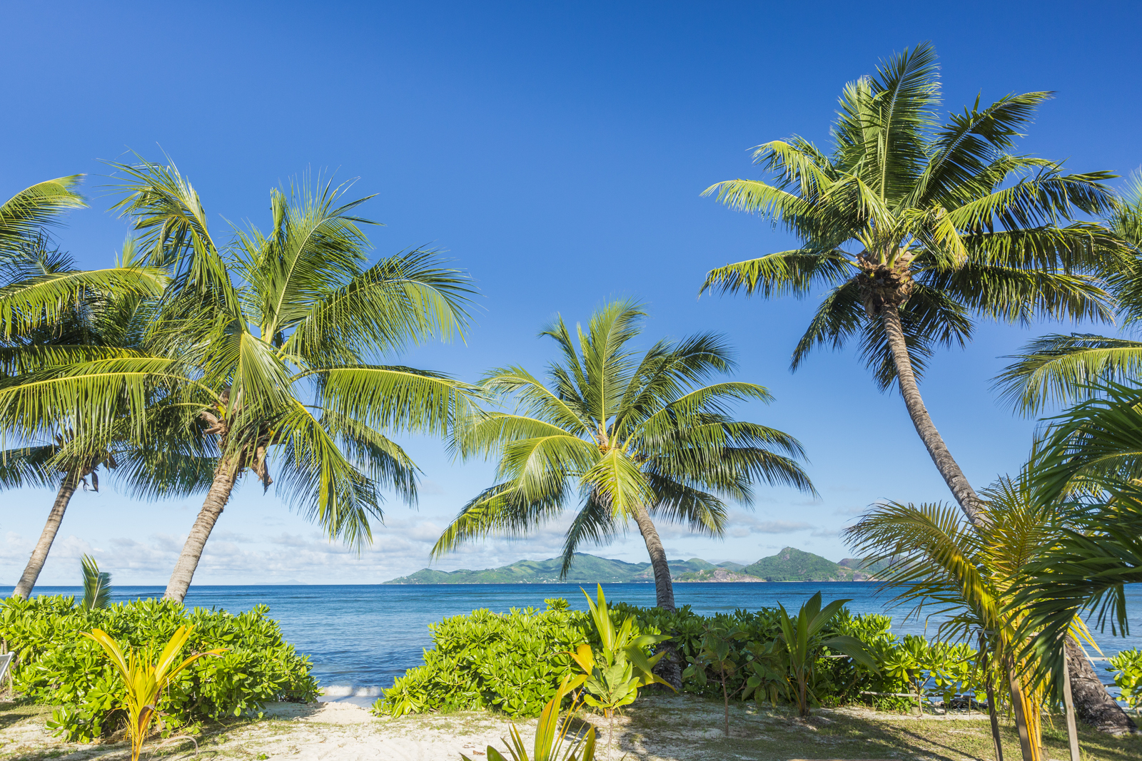 Seychellen 128