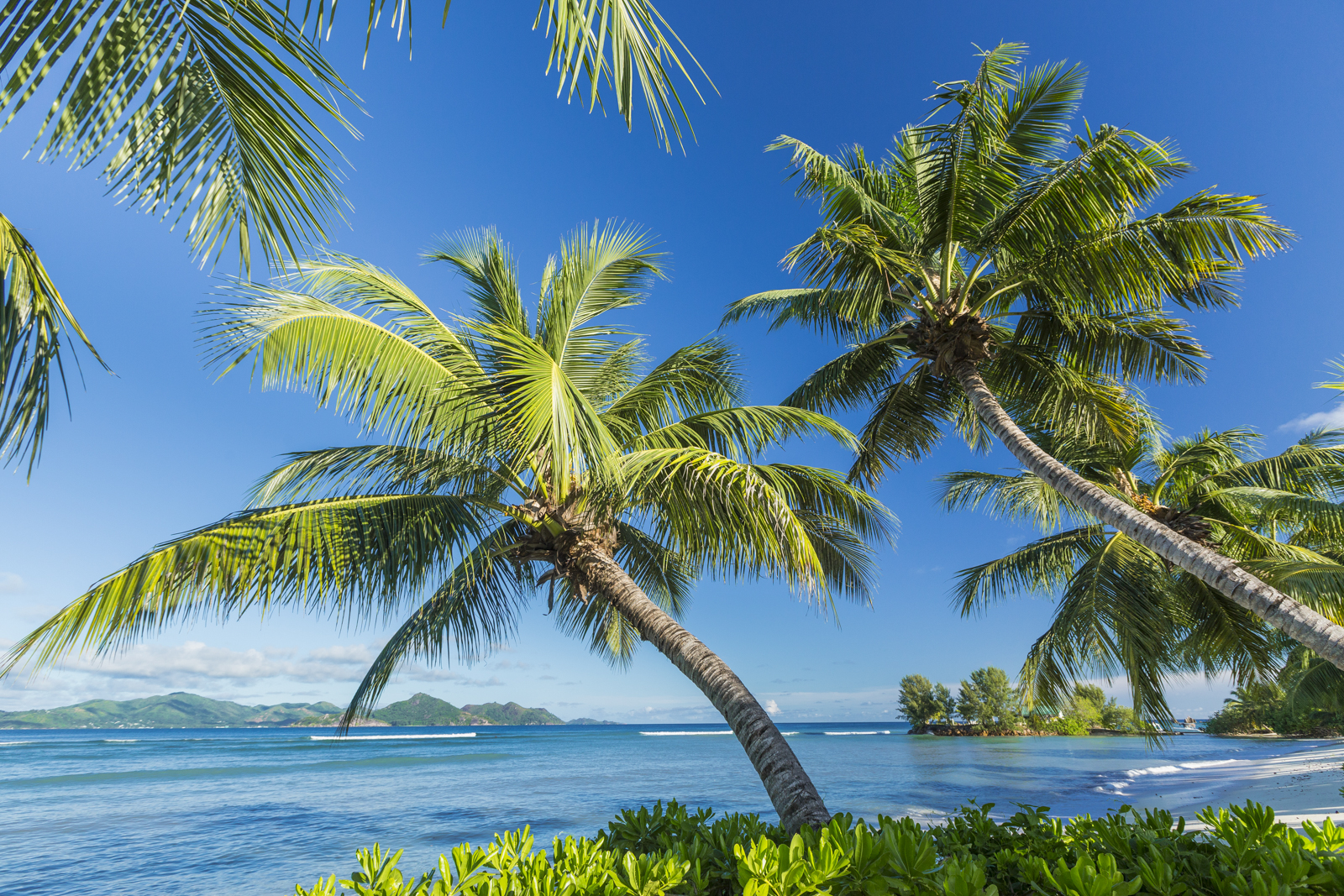 Seychellen 129