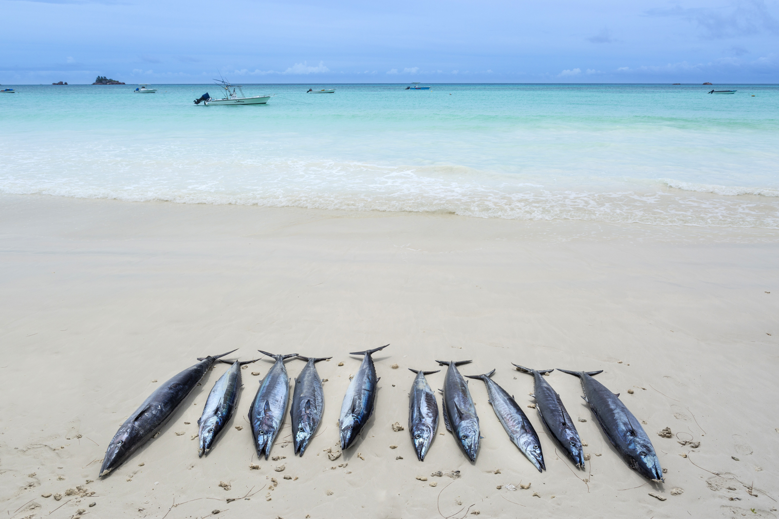 Seychellen 15