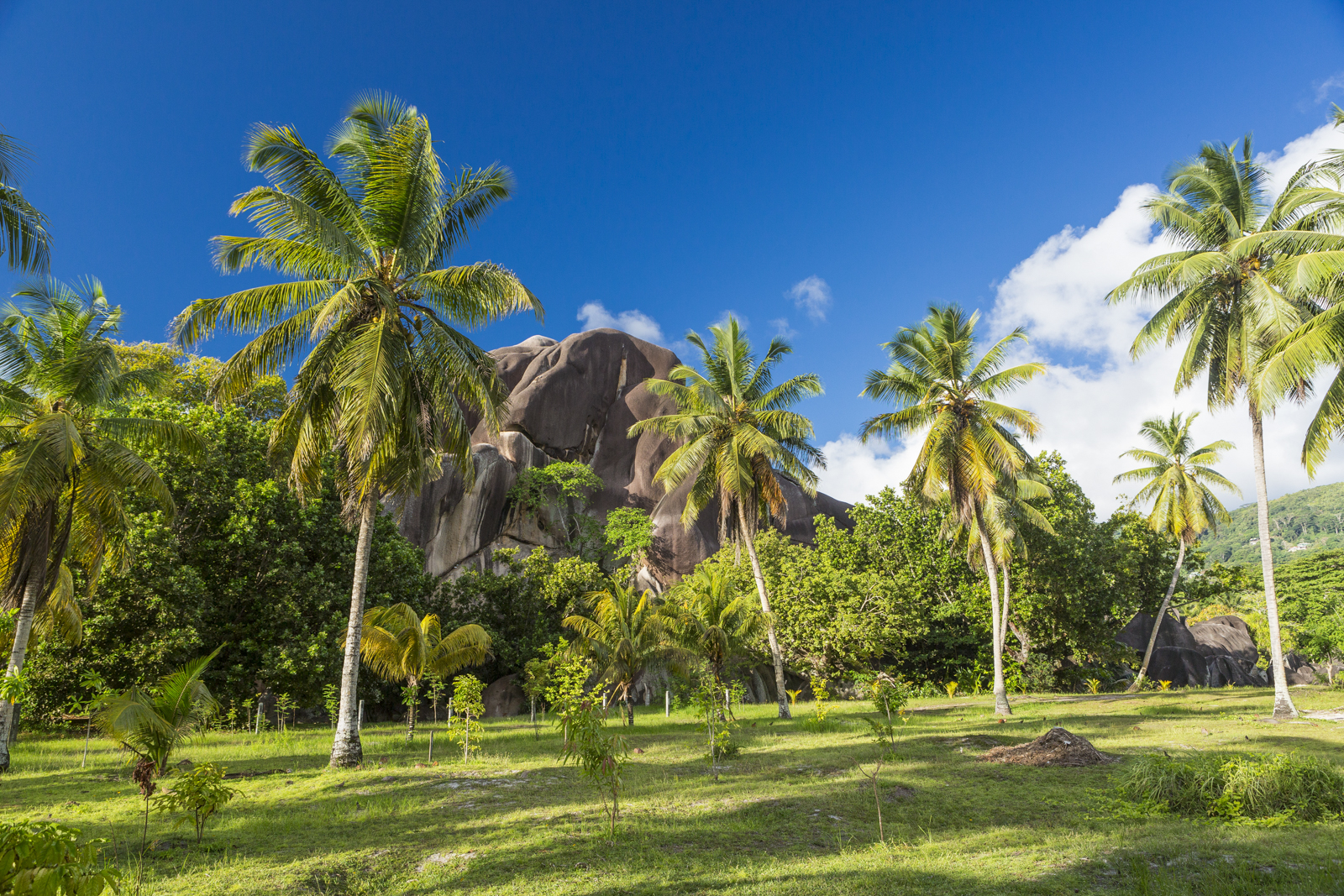 Seychellen 176