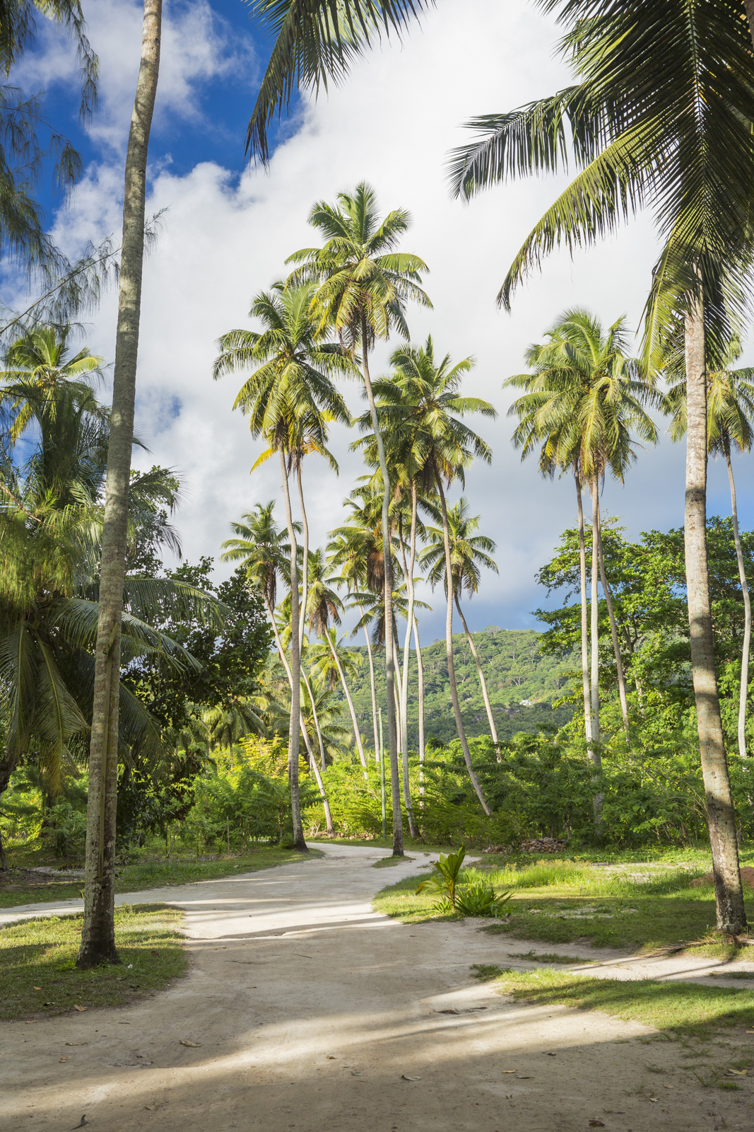 Seychellen 178