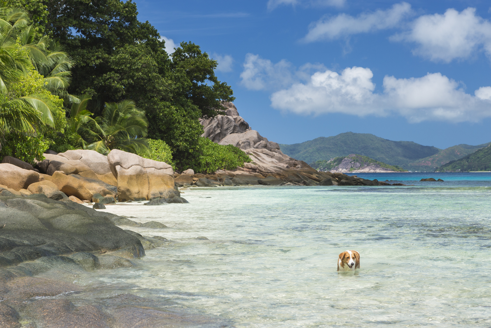 Seychellen 214