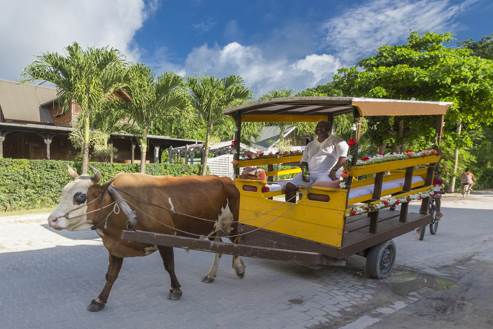 Seychellen 293