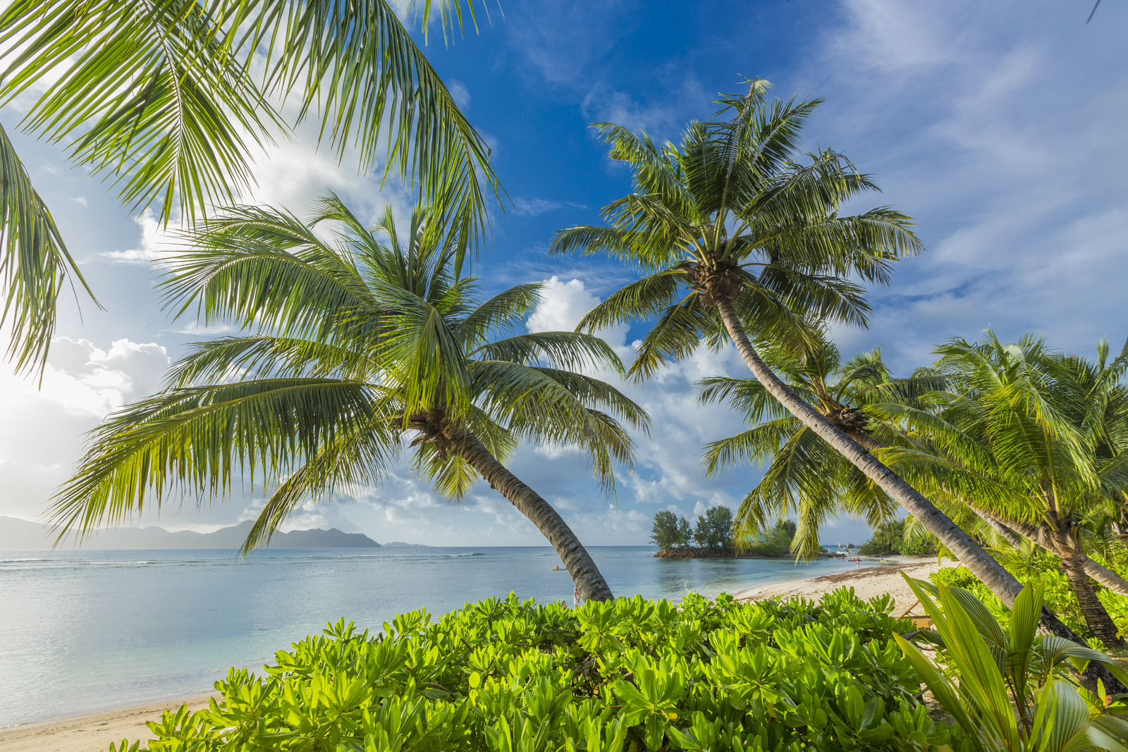 Seychellen 298