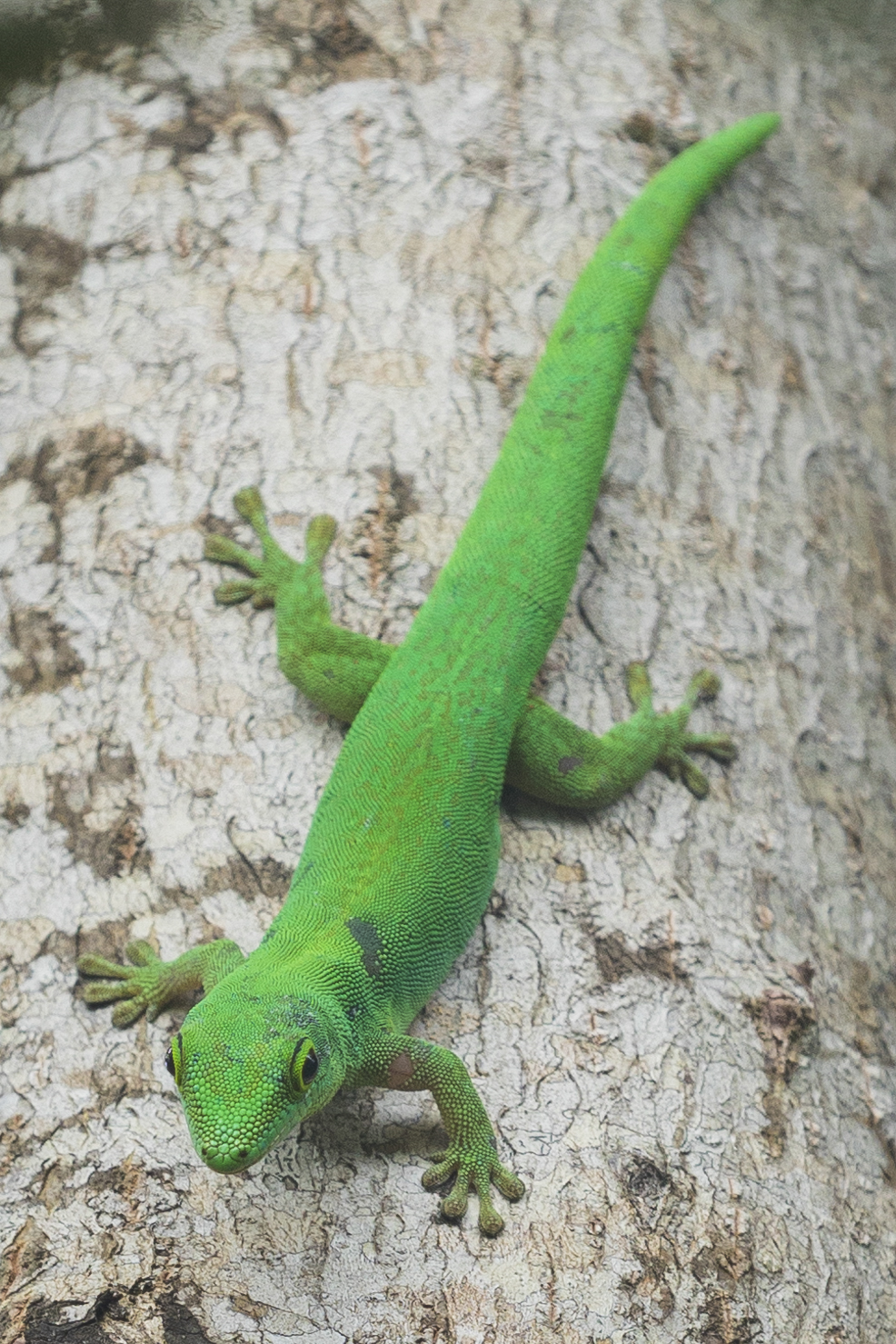 Seychellen 3