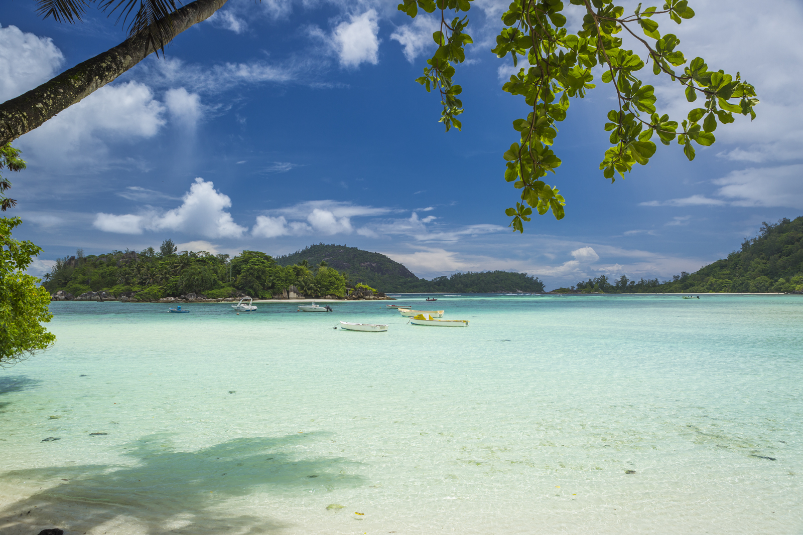 Seychellen 479