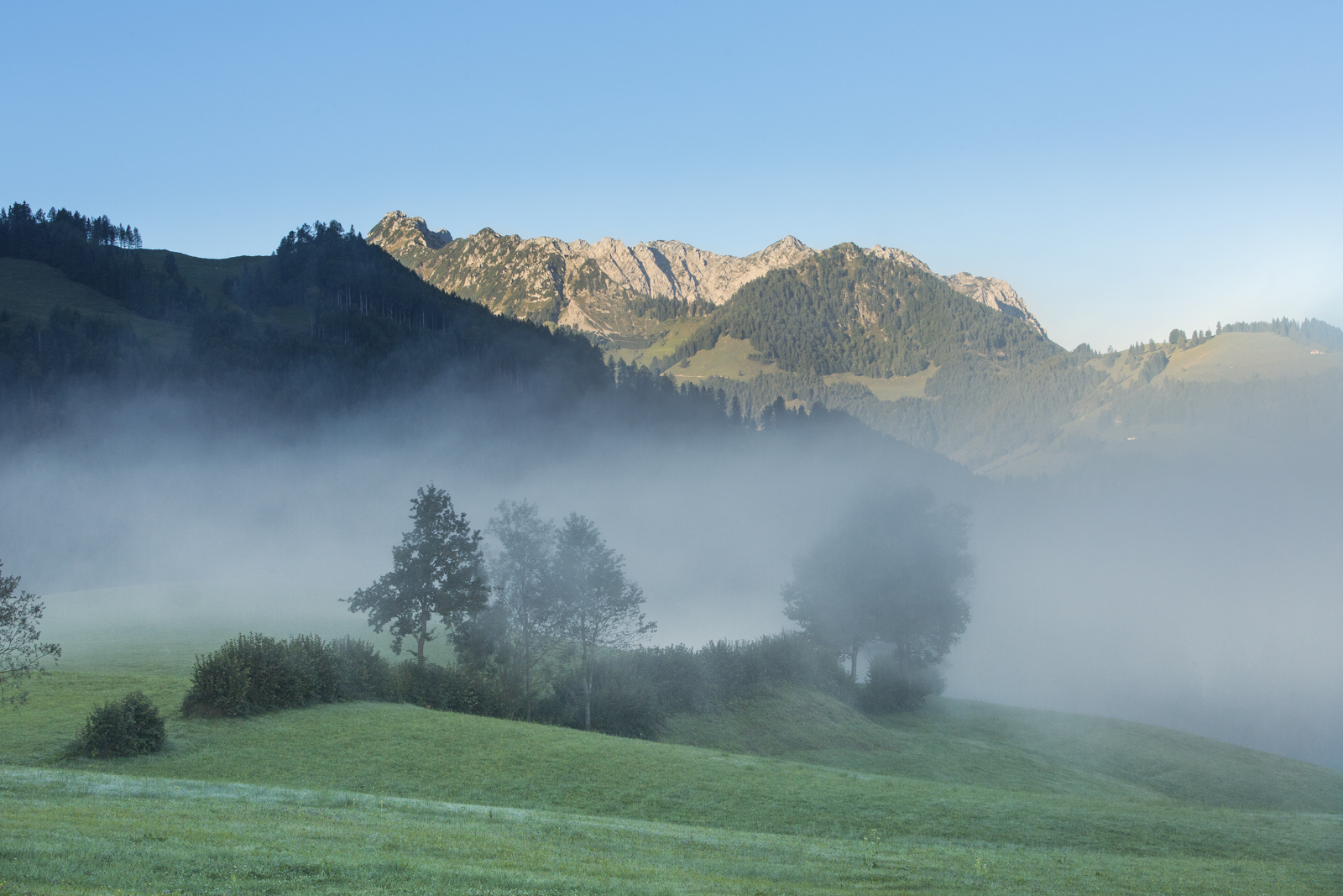 Tirol 08