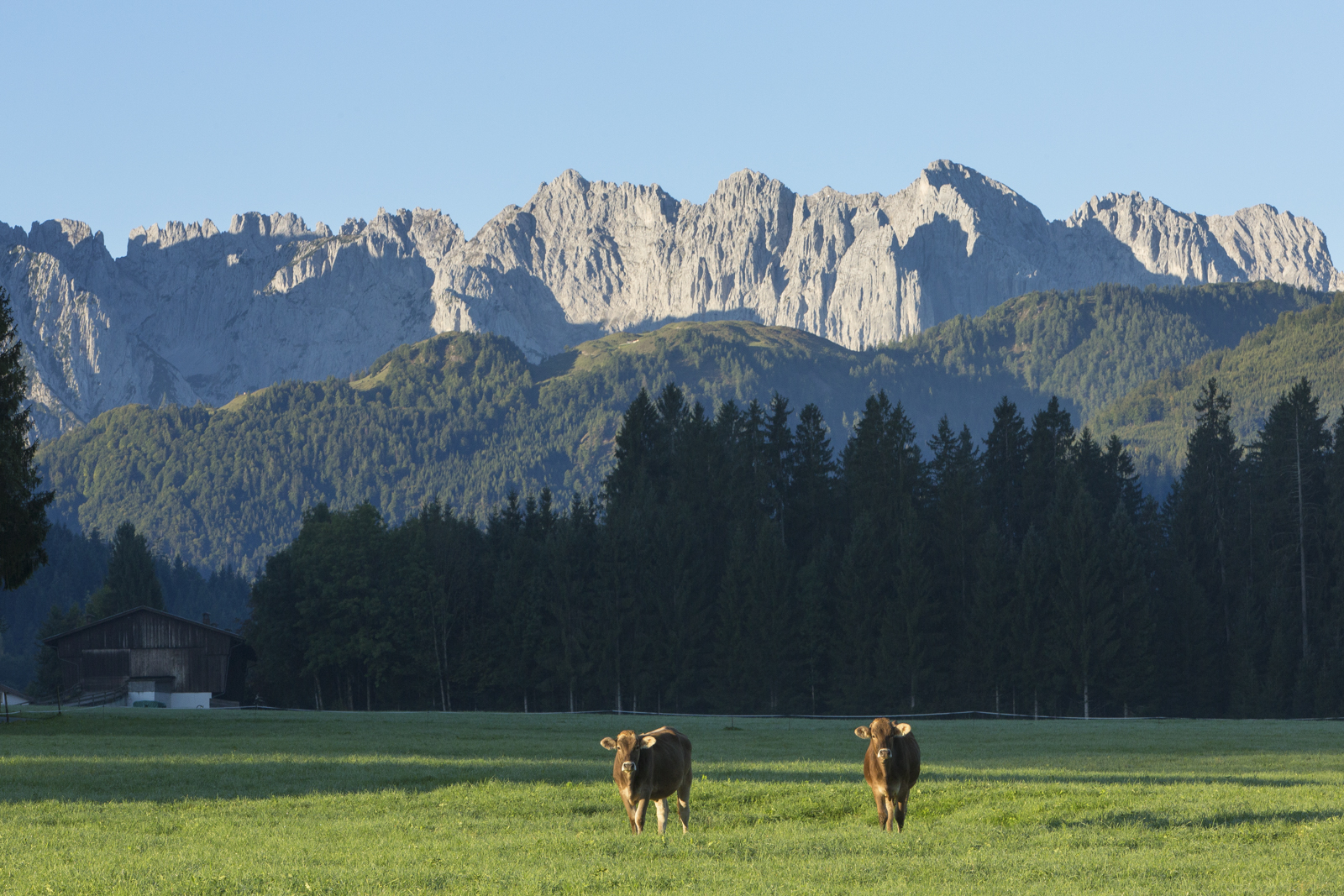 Tirol 09