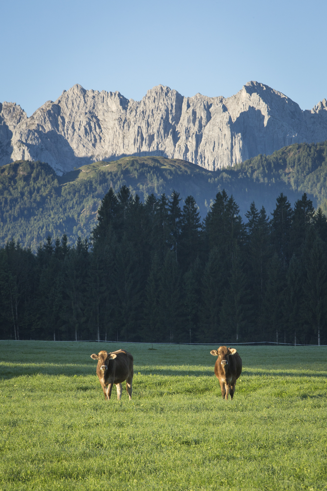 Tirol 10