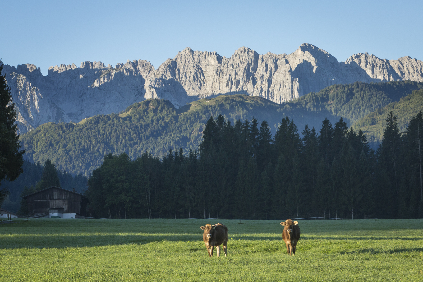 Tirol 11