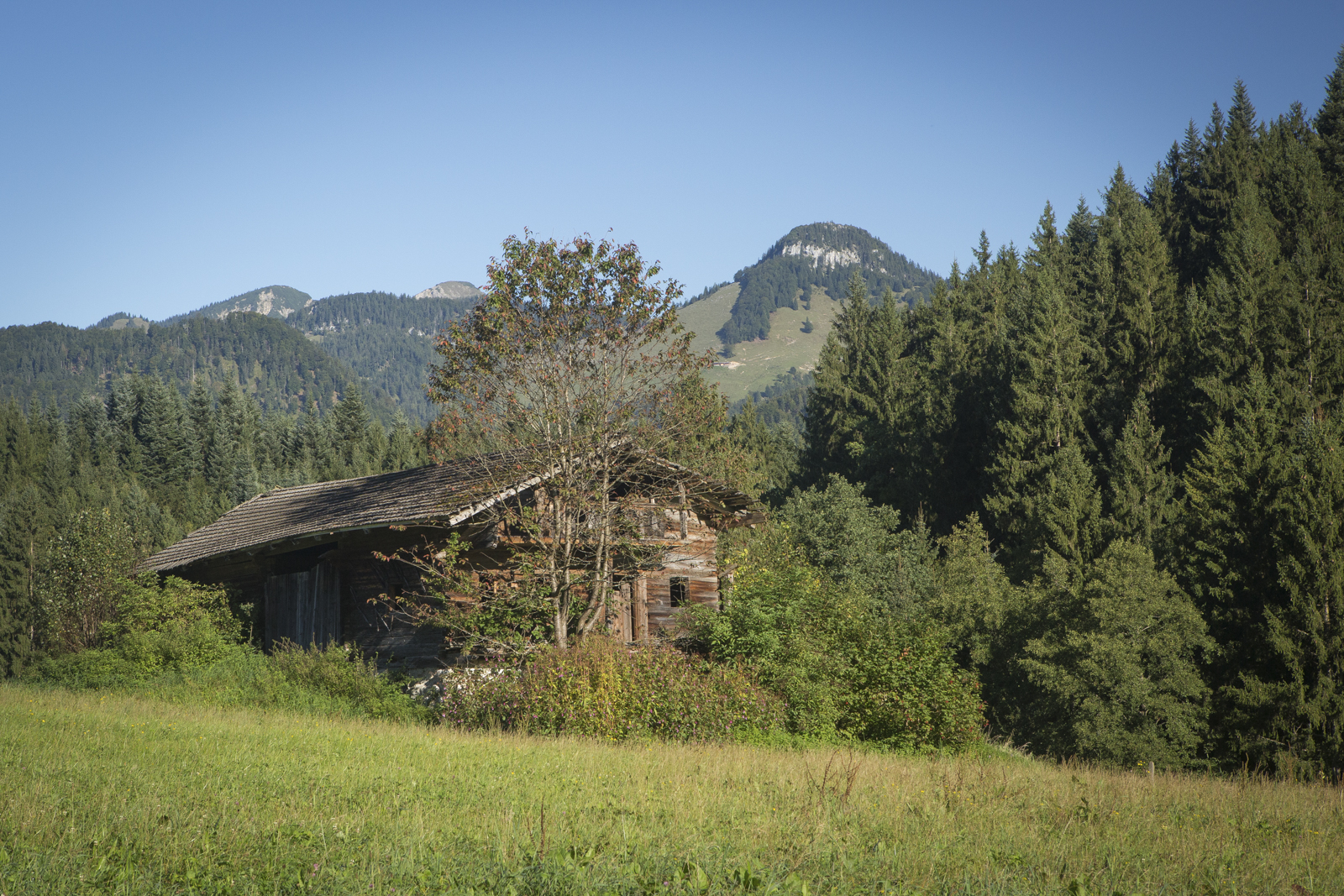 Tirol 17