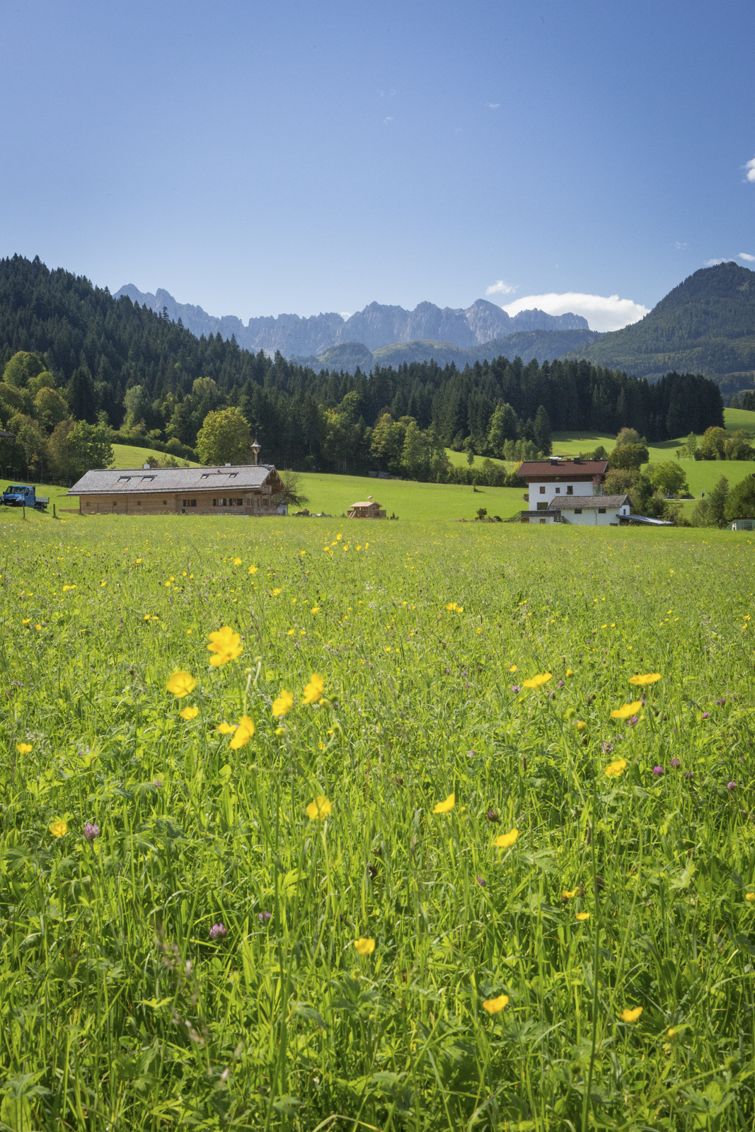 Tirol 26