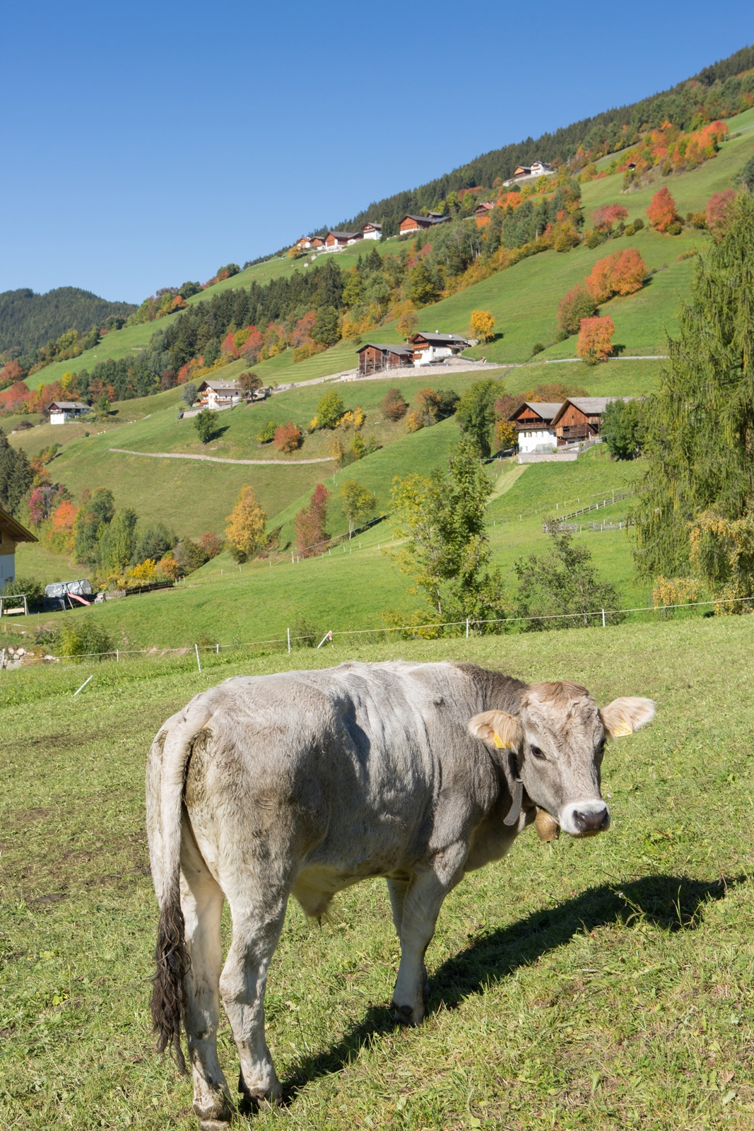 Südtirol 016
