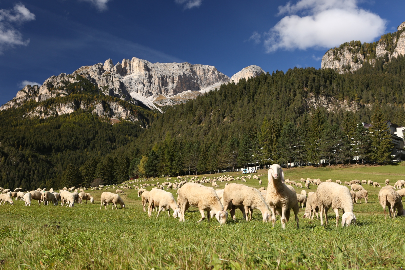 Südtirol 090