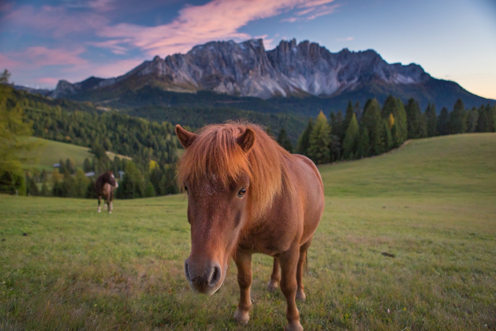 Südtirol 111