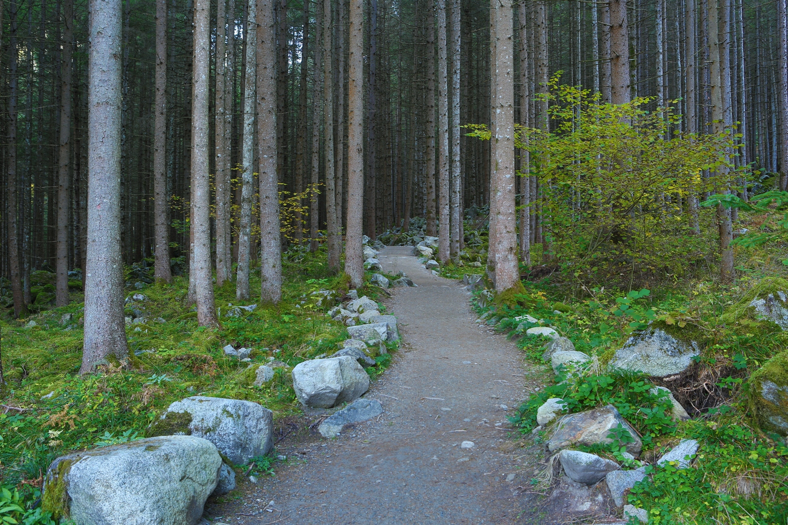 Südtirol 130