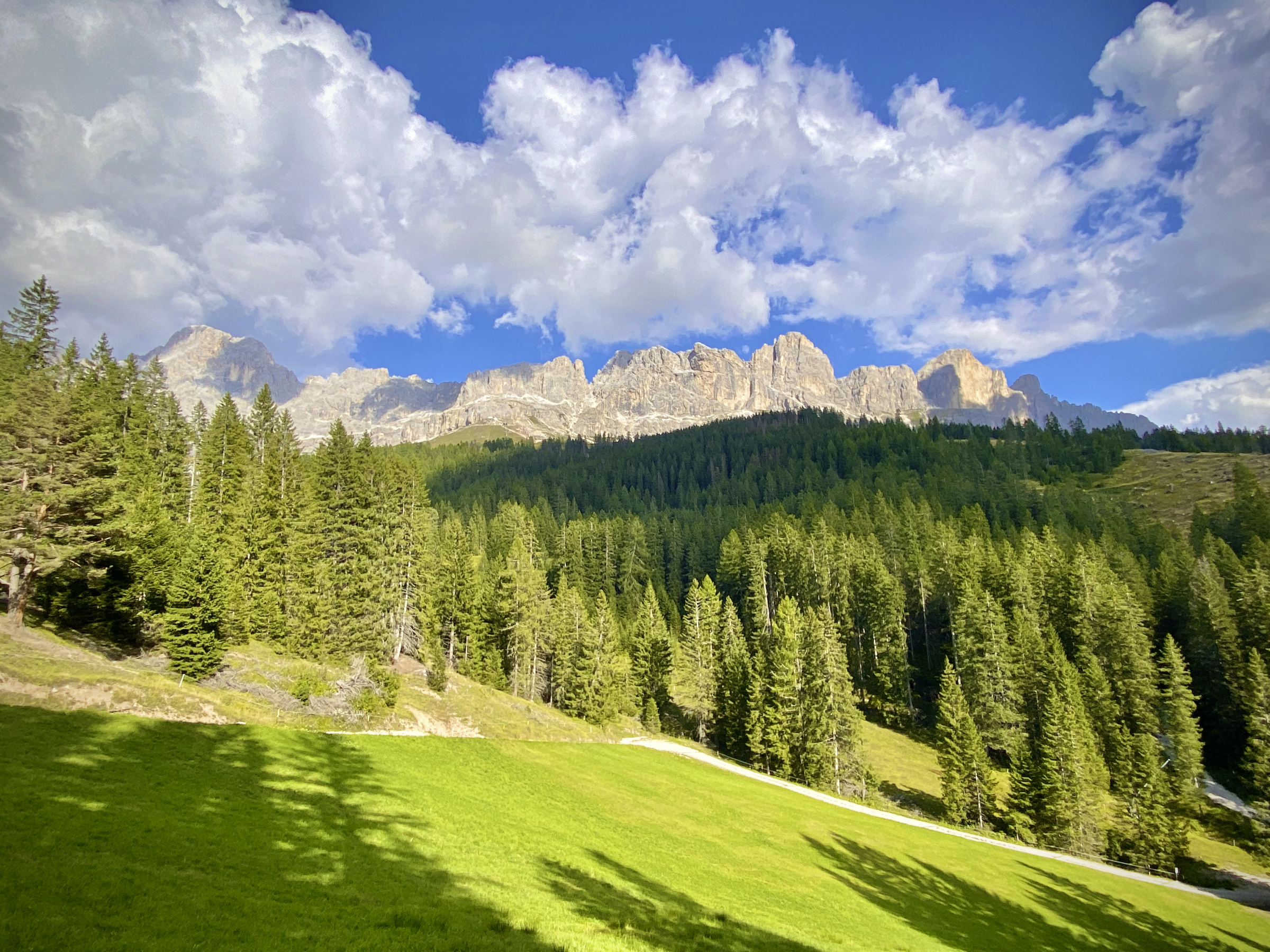 Südtirol 231