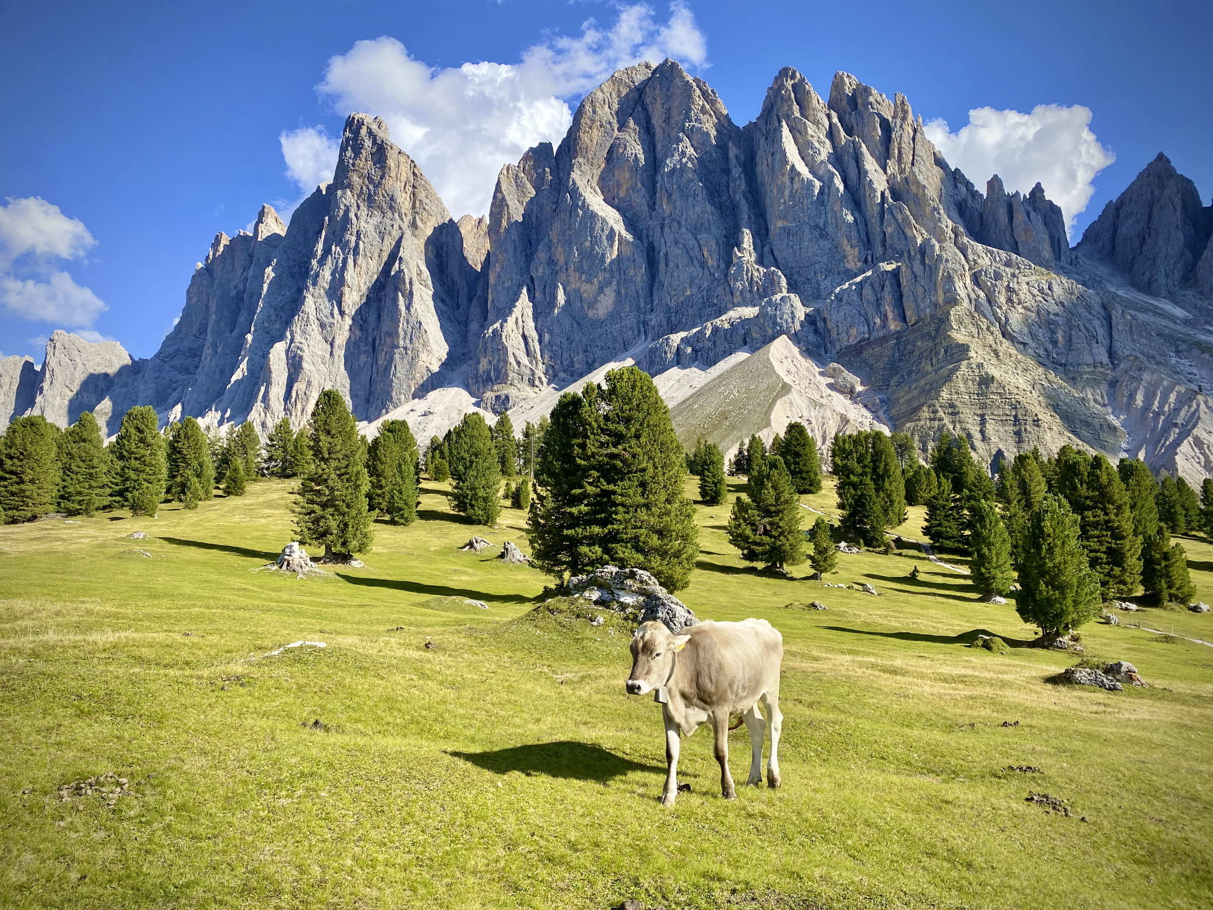 Südtirol 249