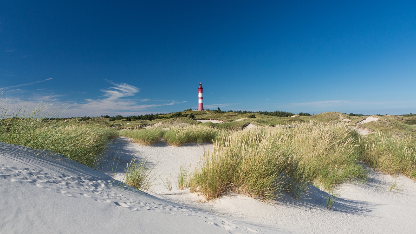 Amrum 002
